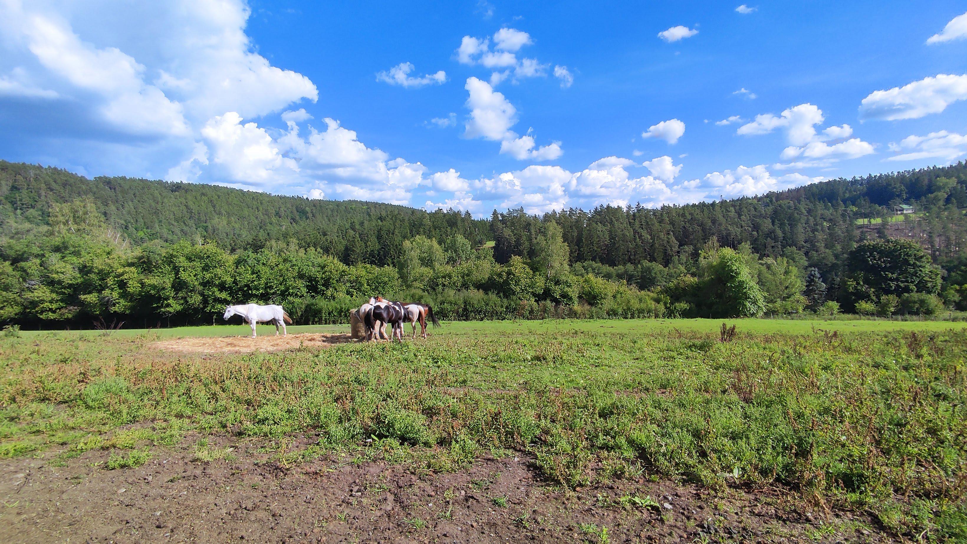 Ranč v údolí foto 6