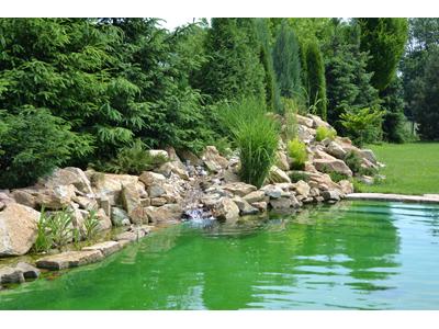 Star-fish jezírka, s.r.o. foto 4