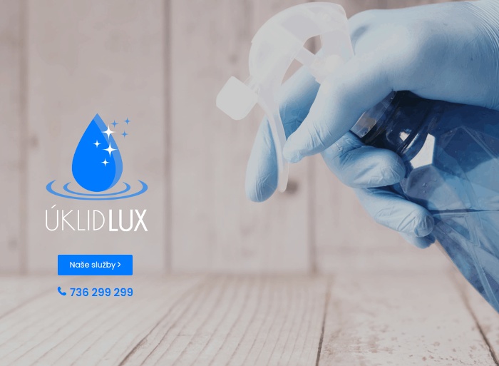 Úklid - LUX foto 1