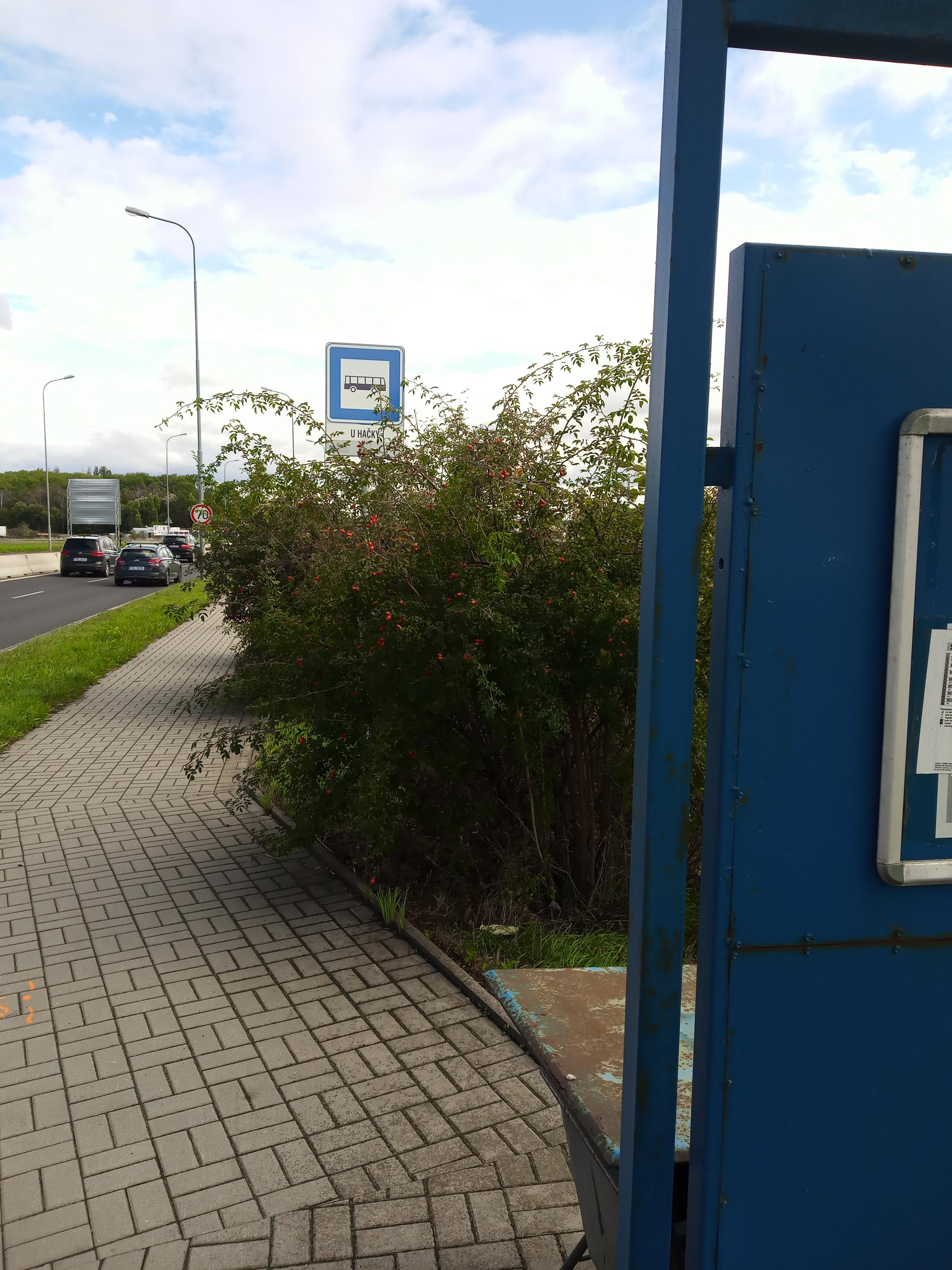 Dopravní podnik měst Chomutova a Jirkova a.s. foto 3