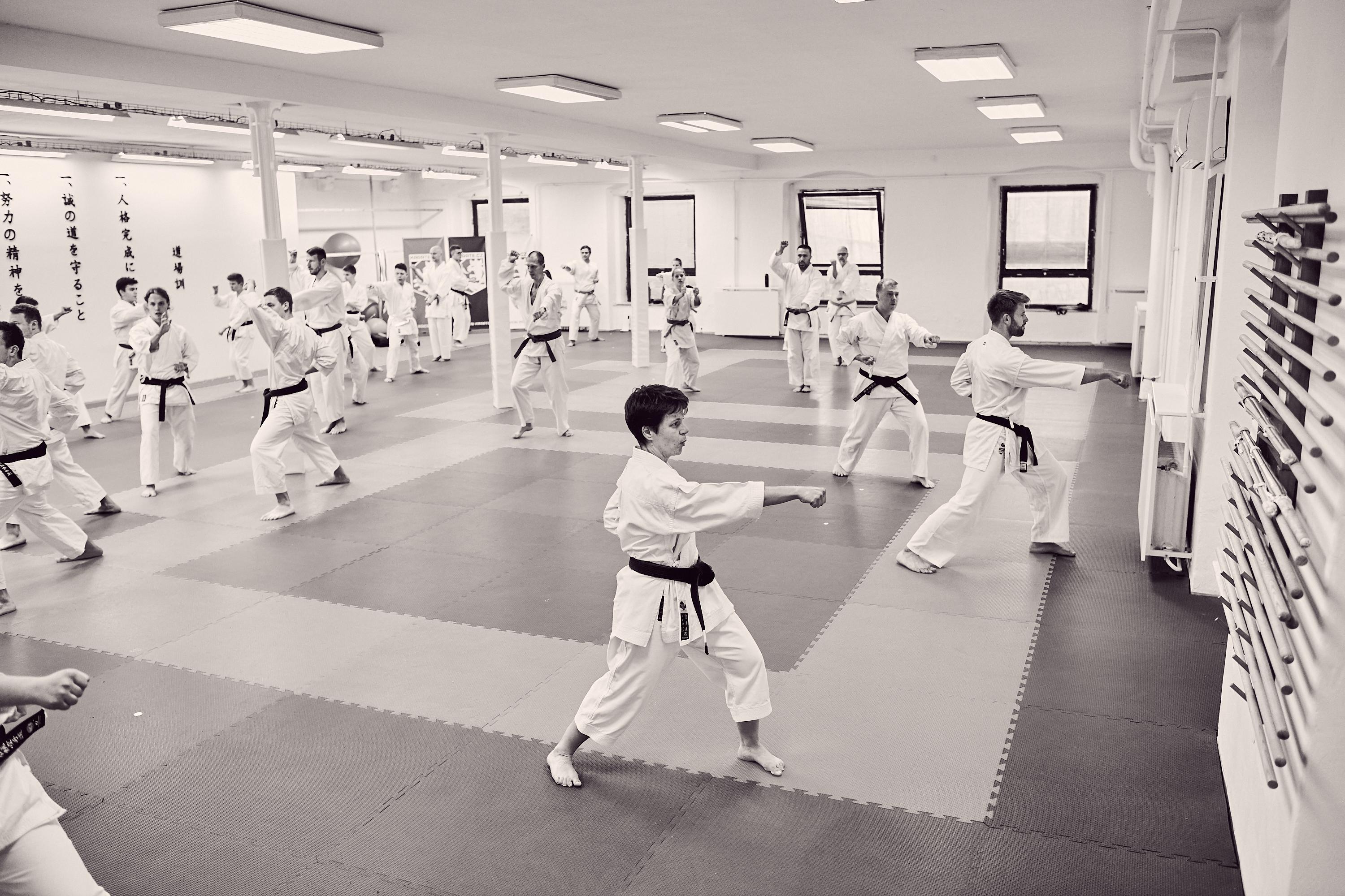 Akademie karate Brno foto 1