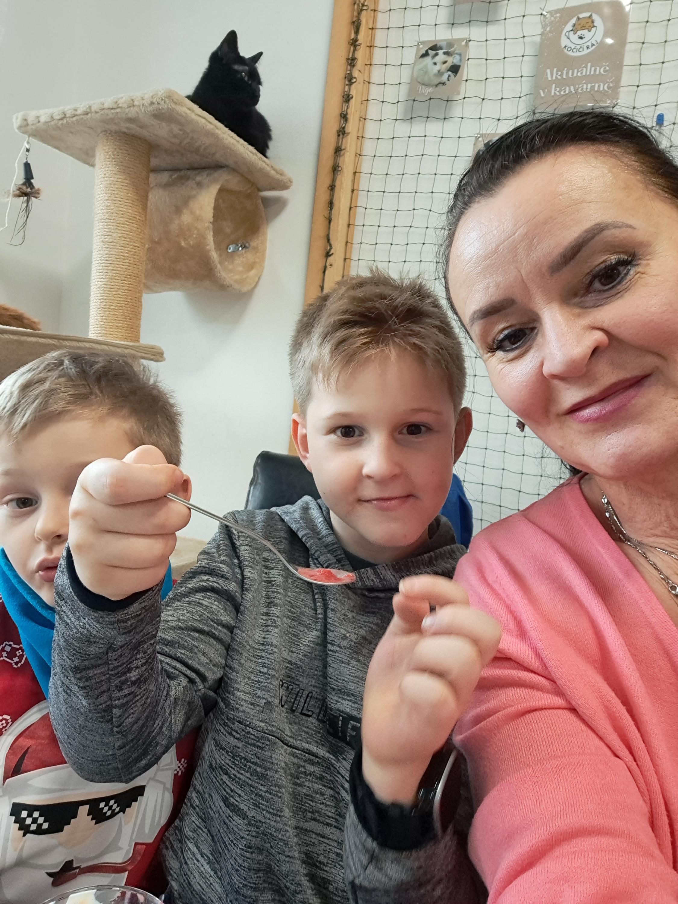 Kočičí Ráj - adopční kavárna foto 5