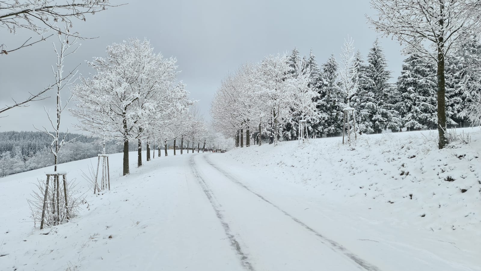 Stará Škola Hedeč foto 2