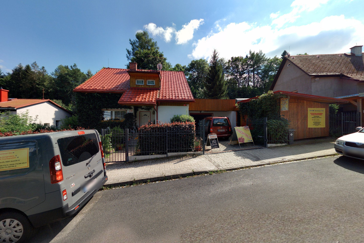 Medík - Anna Příplatová