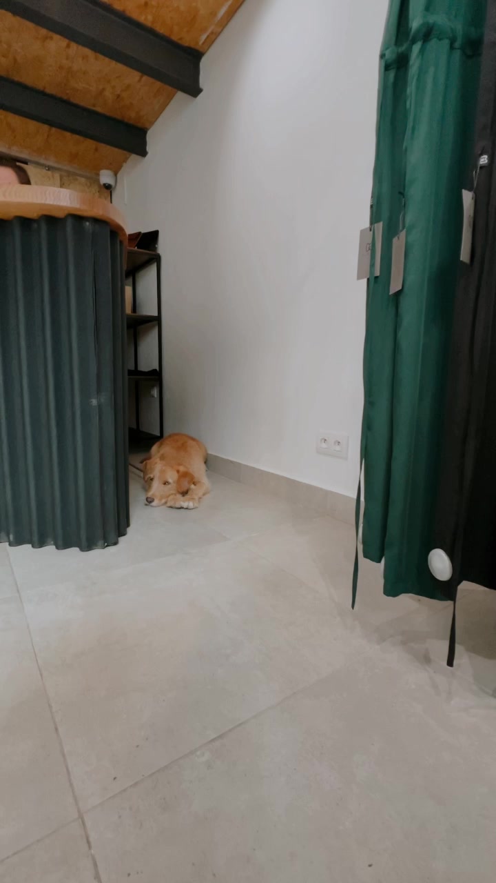Minile foto 2 (náhled videa)