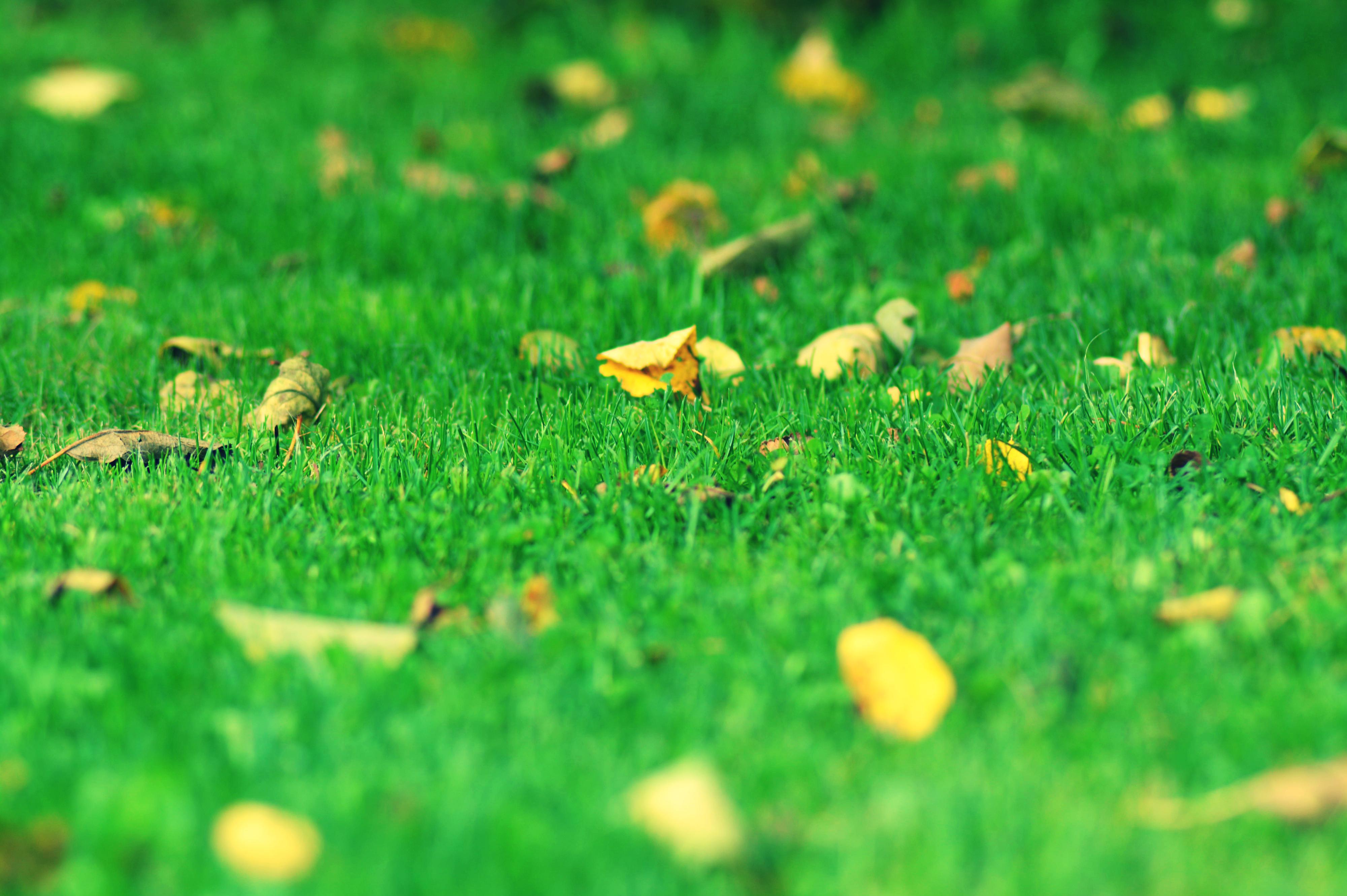 Ekologické poradenství, obaly a odpady - Lucký