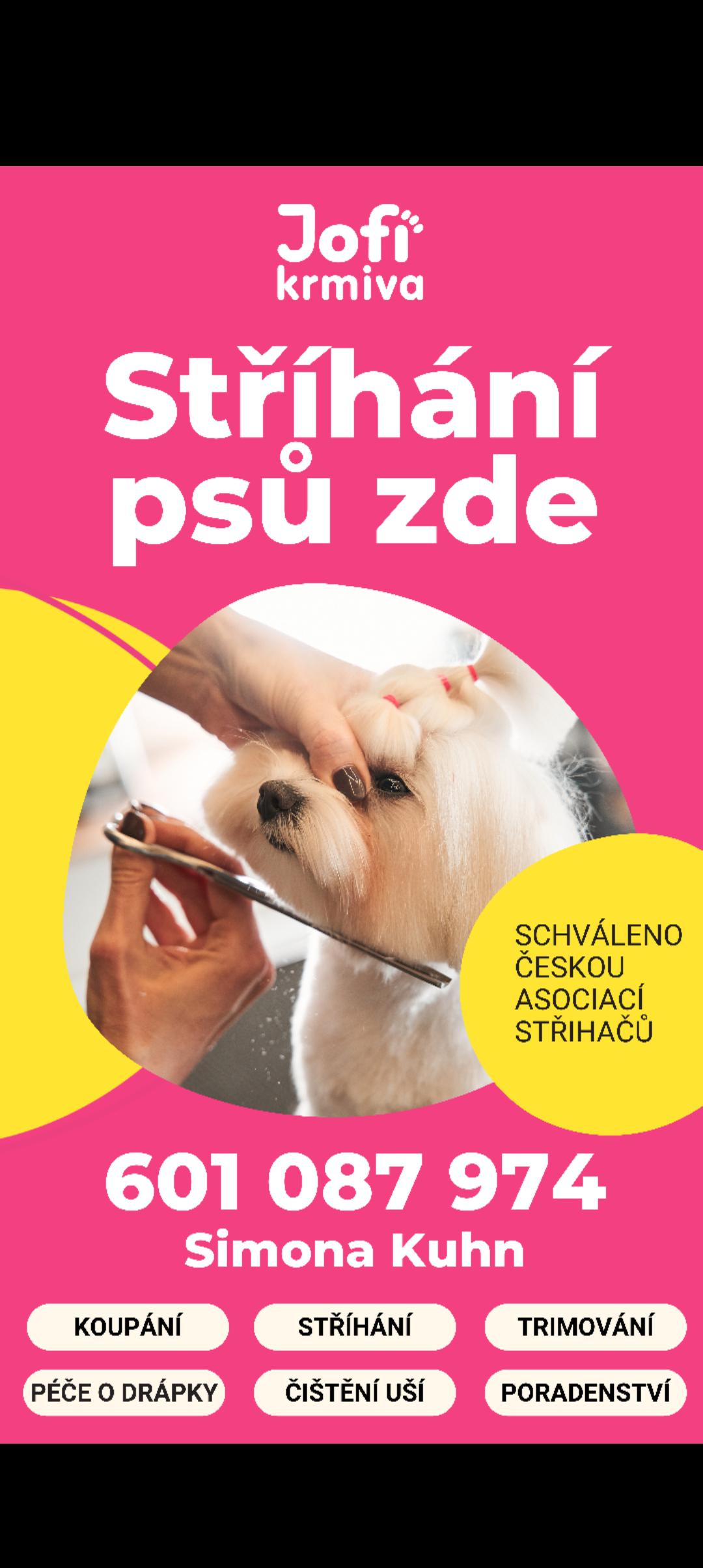 Péče o psy a kočky Simona Kuhn foto 4