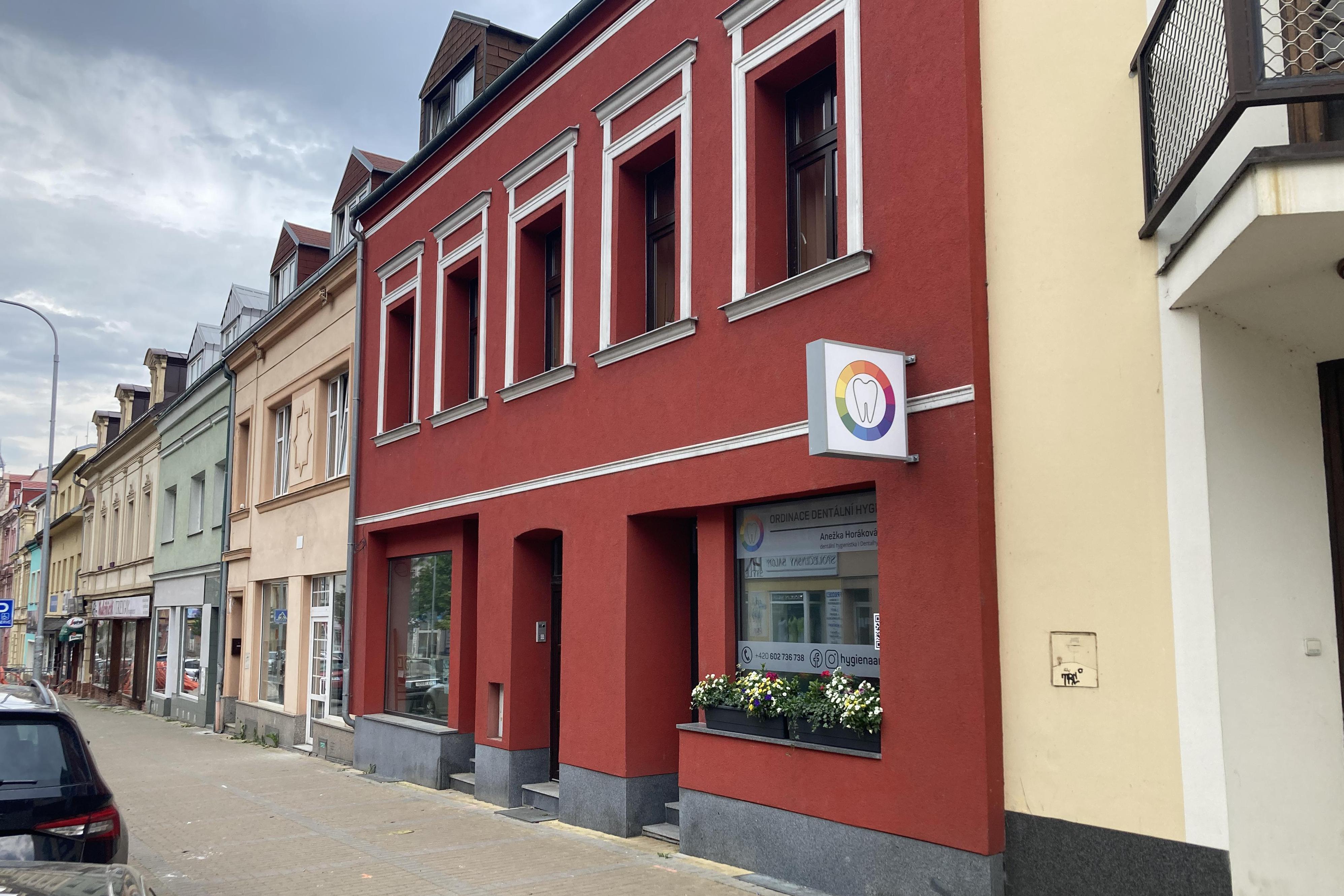 Dentální hygiena - Anežka Horáková