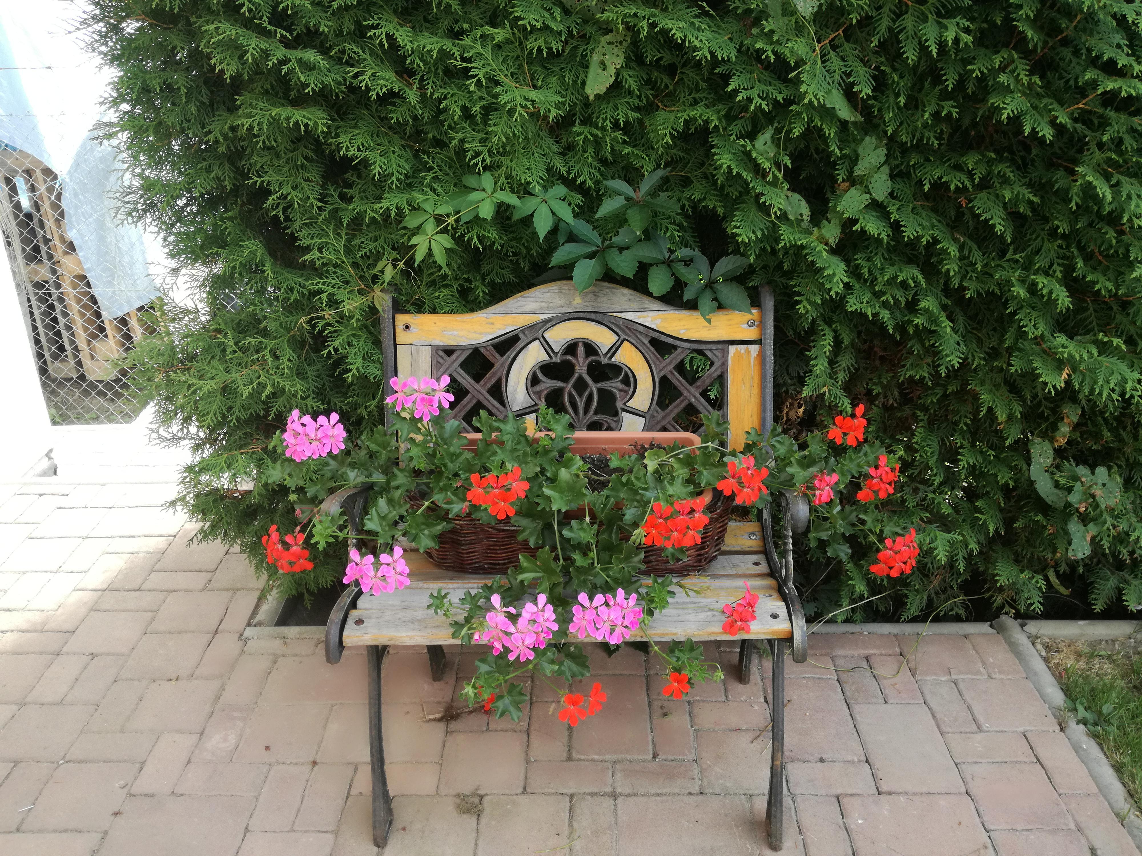 Restaurace U Malířských foto 3