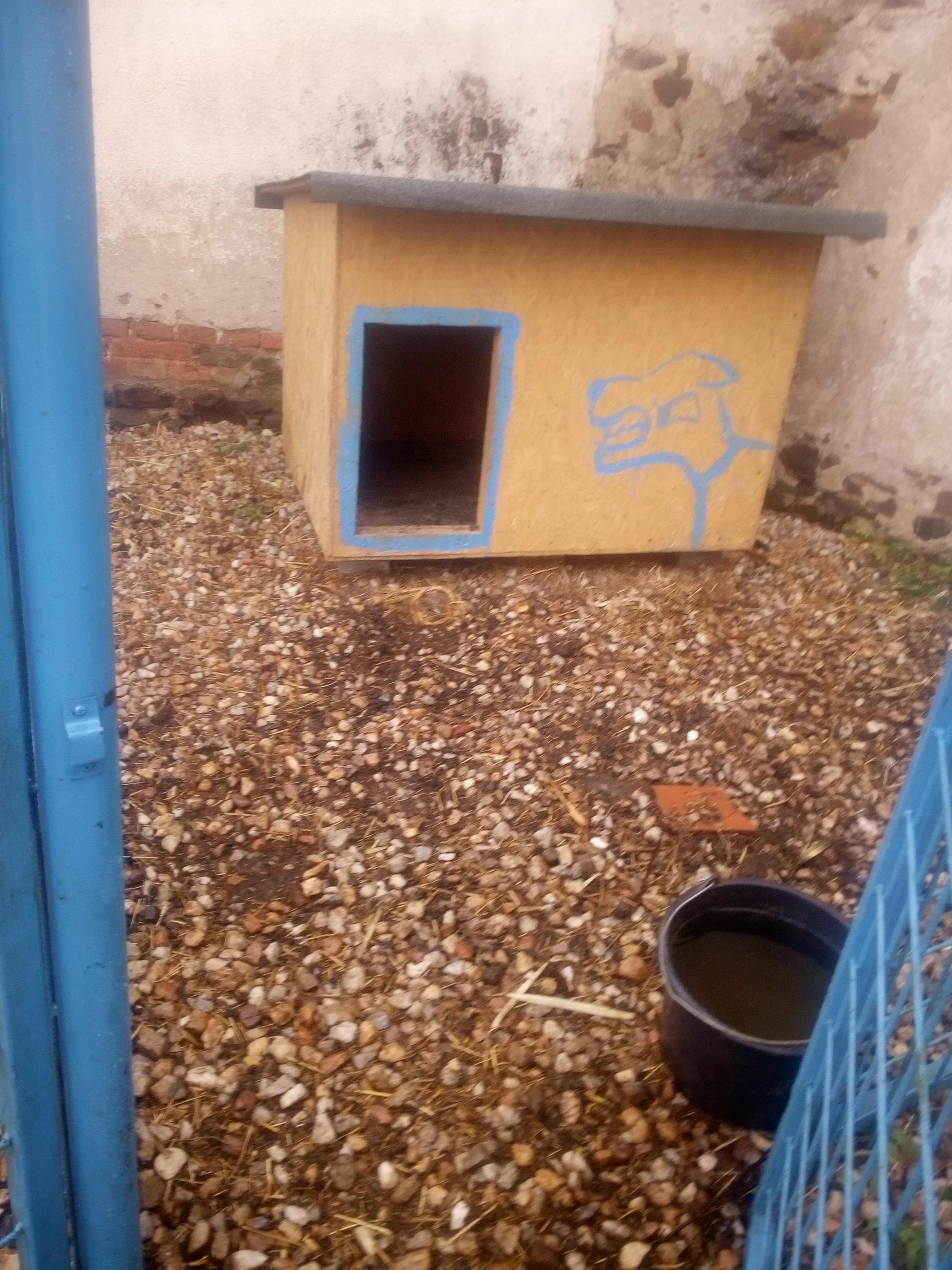 Psí hotel ve statku foto 4