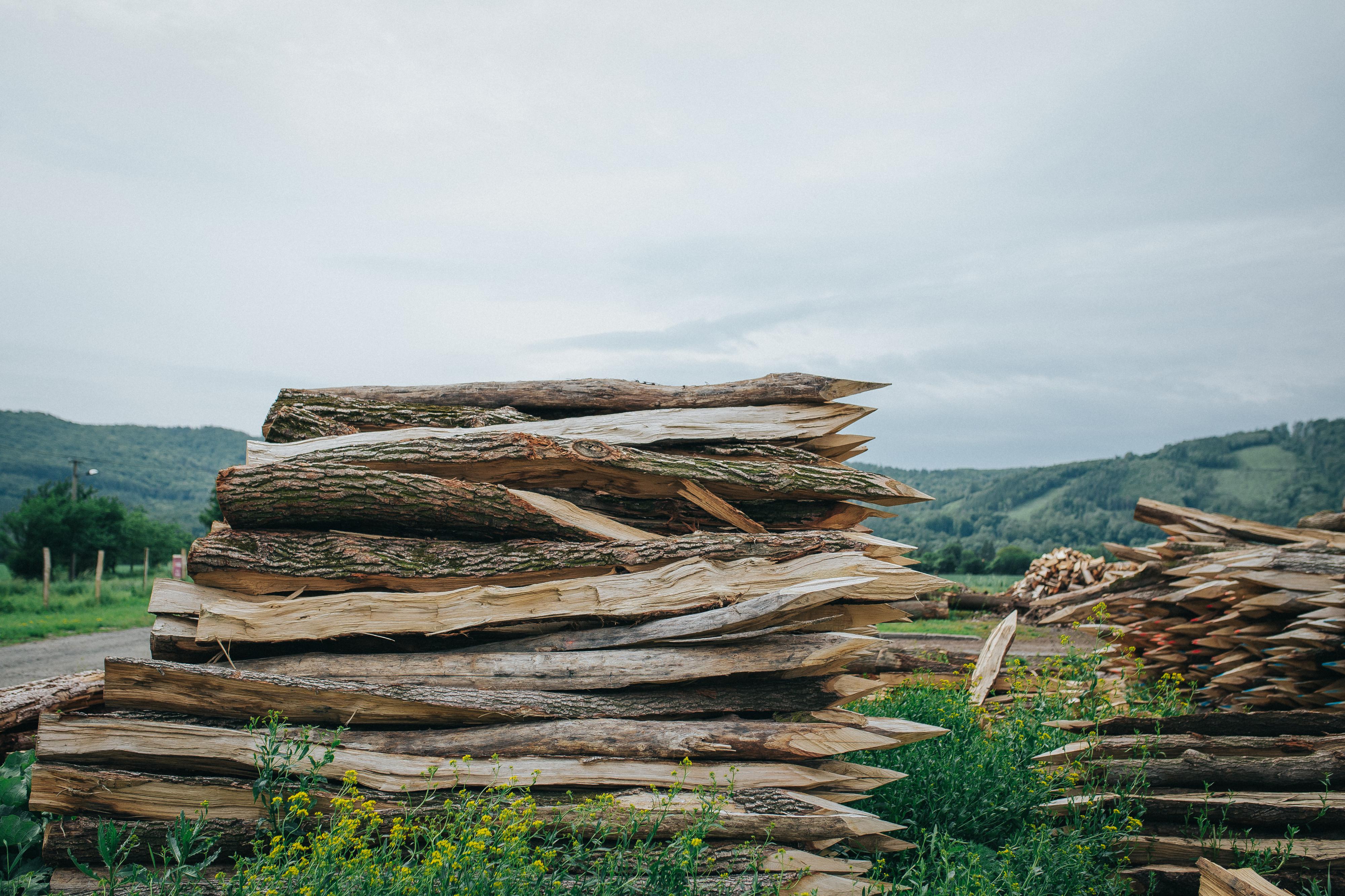 Dubové kůly - dub-kul.cz foto 4