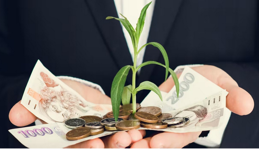 Investujdopole