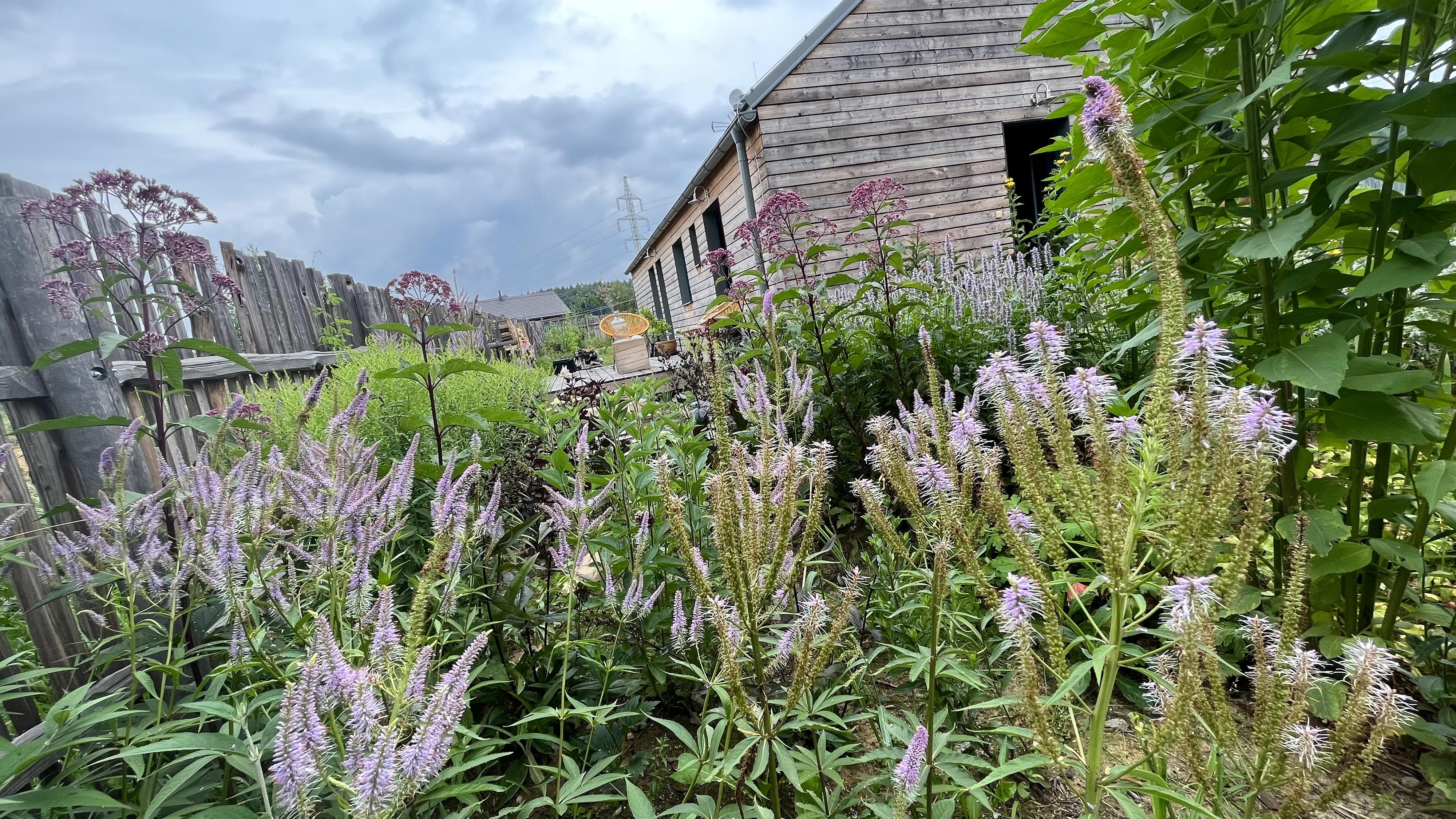 Beryvzahrade - Eva Beránková