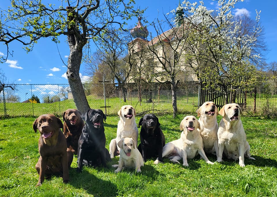 Chovatelská stanice pod Žerčickým kostelem foto 2