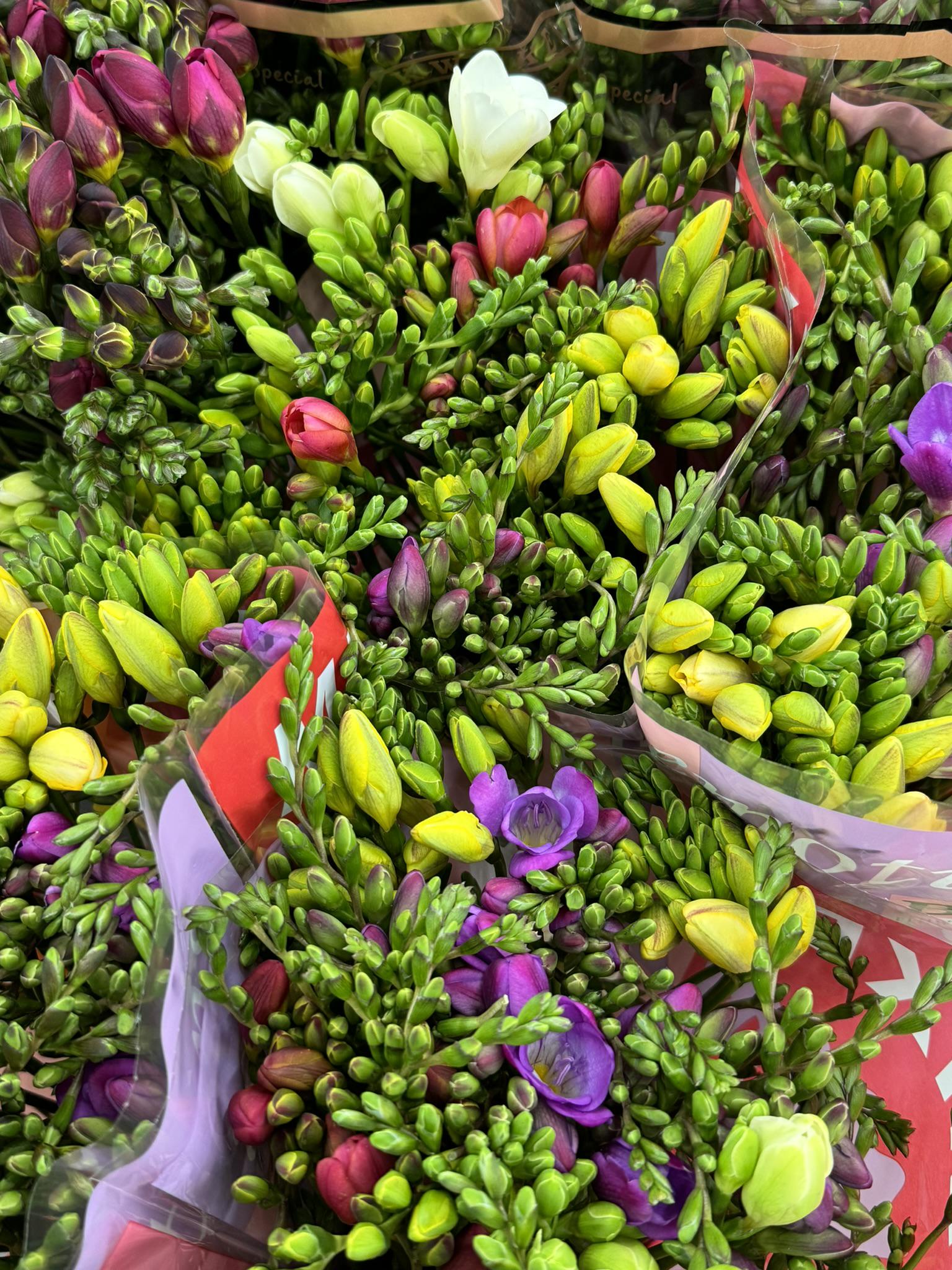 St. Gabriel Cash & Carry Praha foto 3