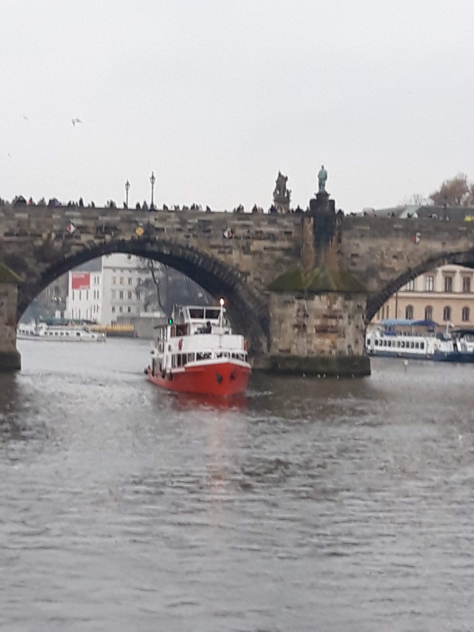 River Boats Prague foto 4