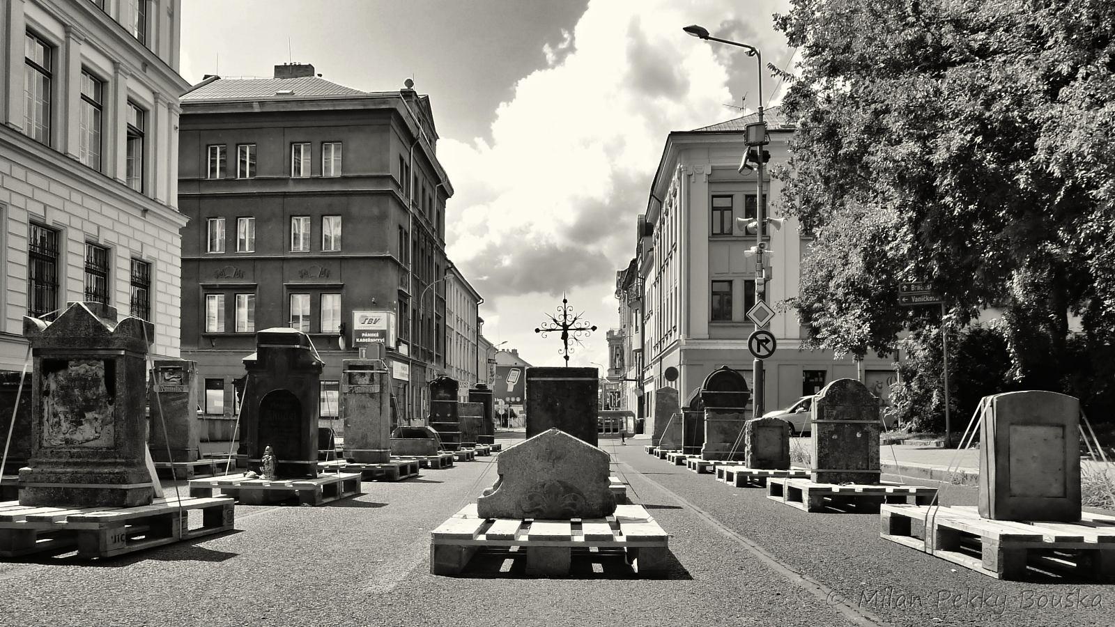 Oblastní muzeum v Ústí nad Labem