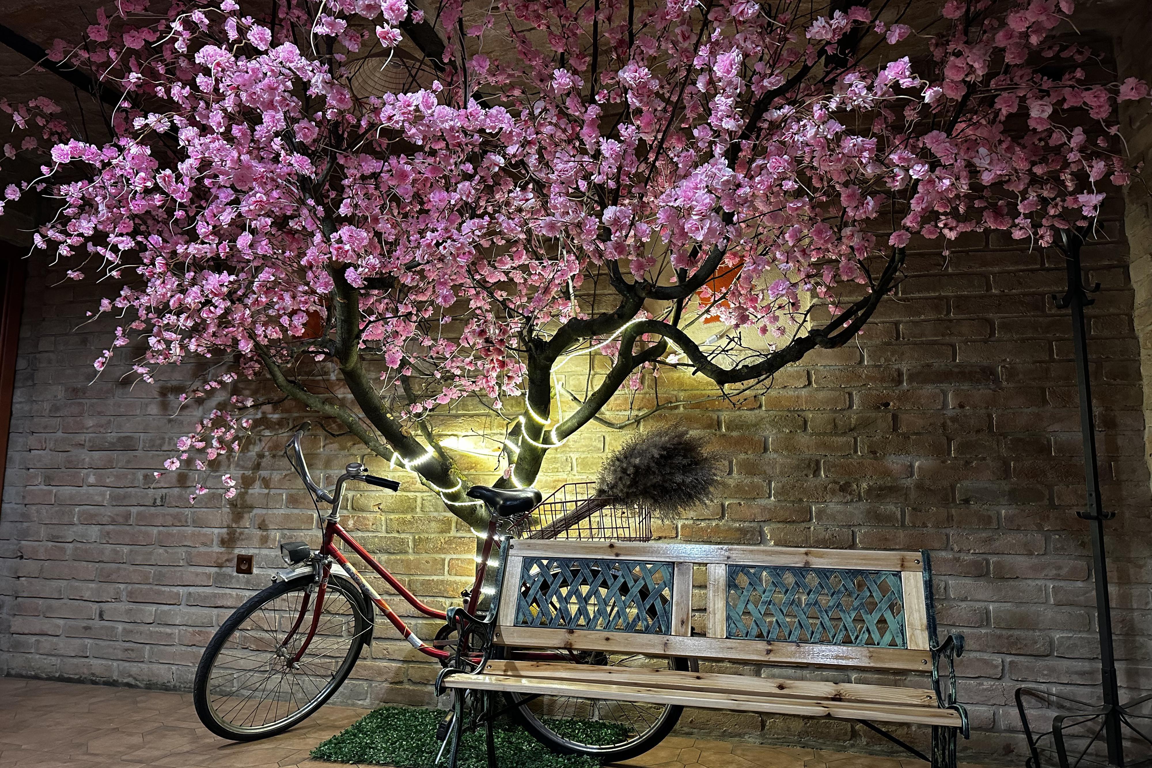 Vina House - Vietnamská restaurace