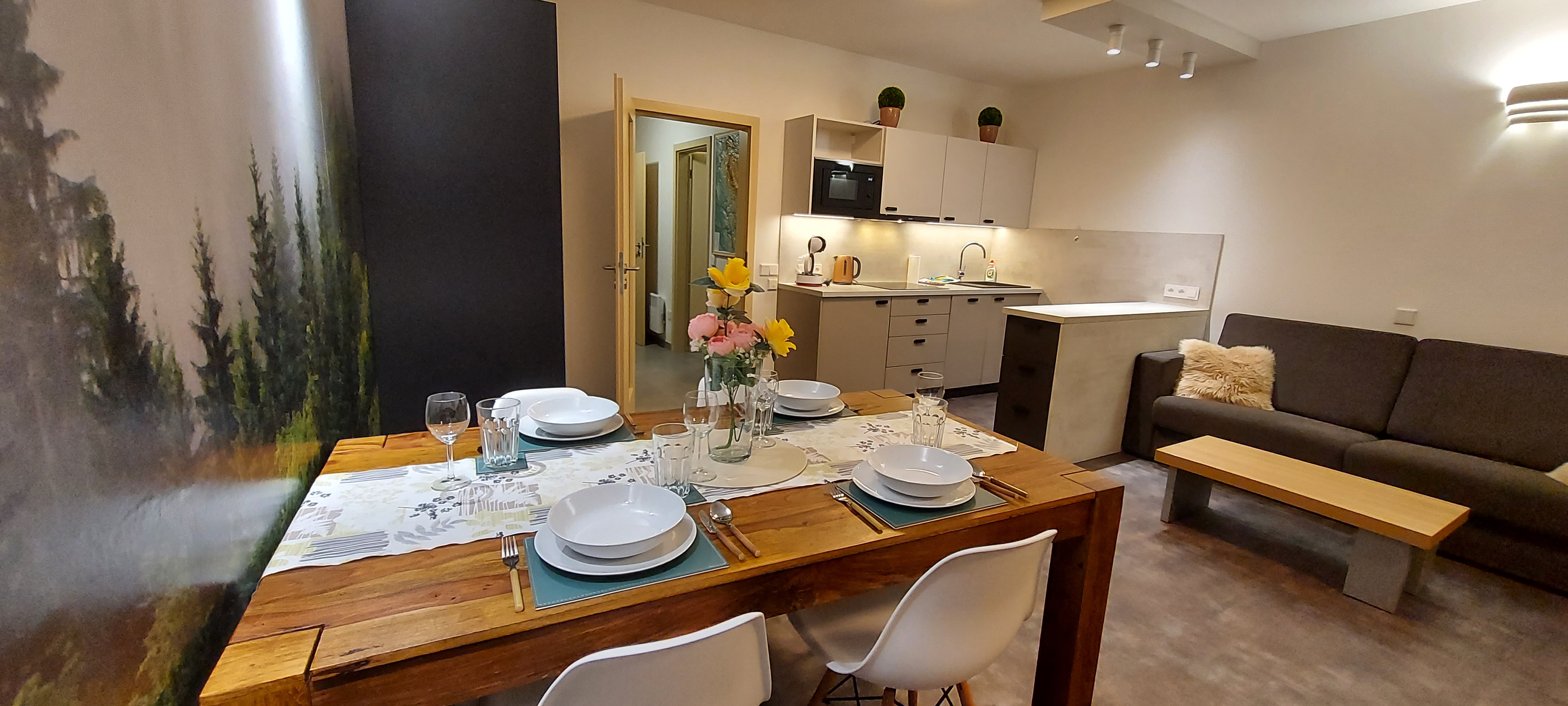 Wellness apartmány Říčky foto 4