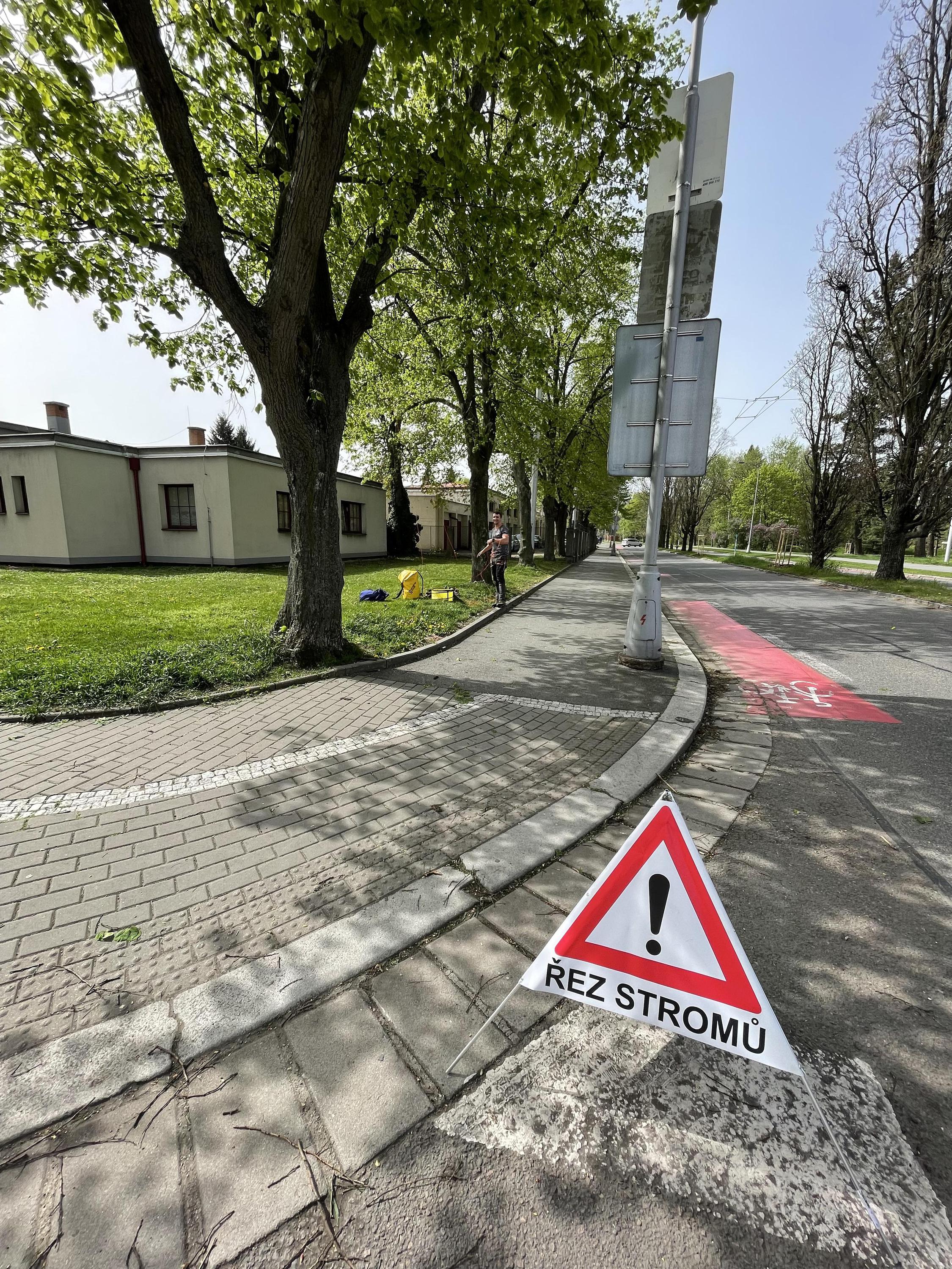 Péče o stromy Lukáš Němec foto 3
