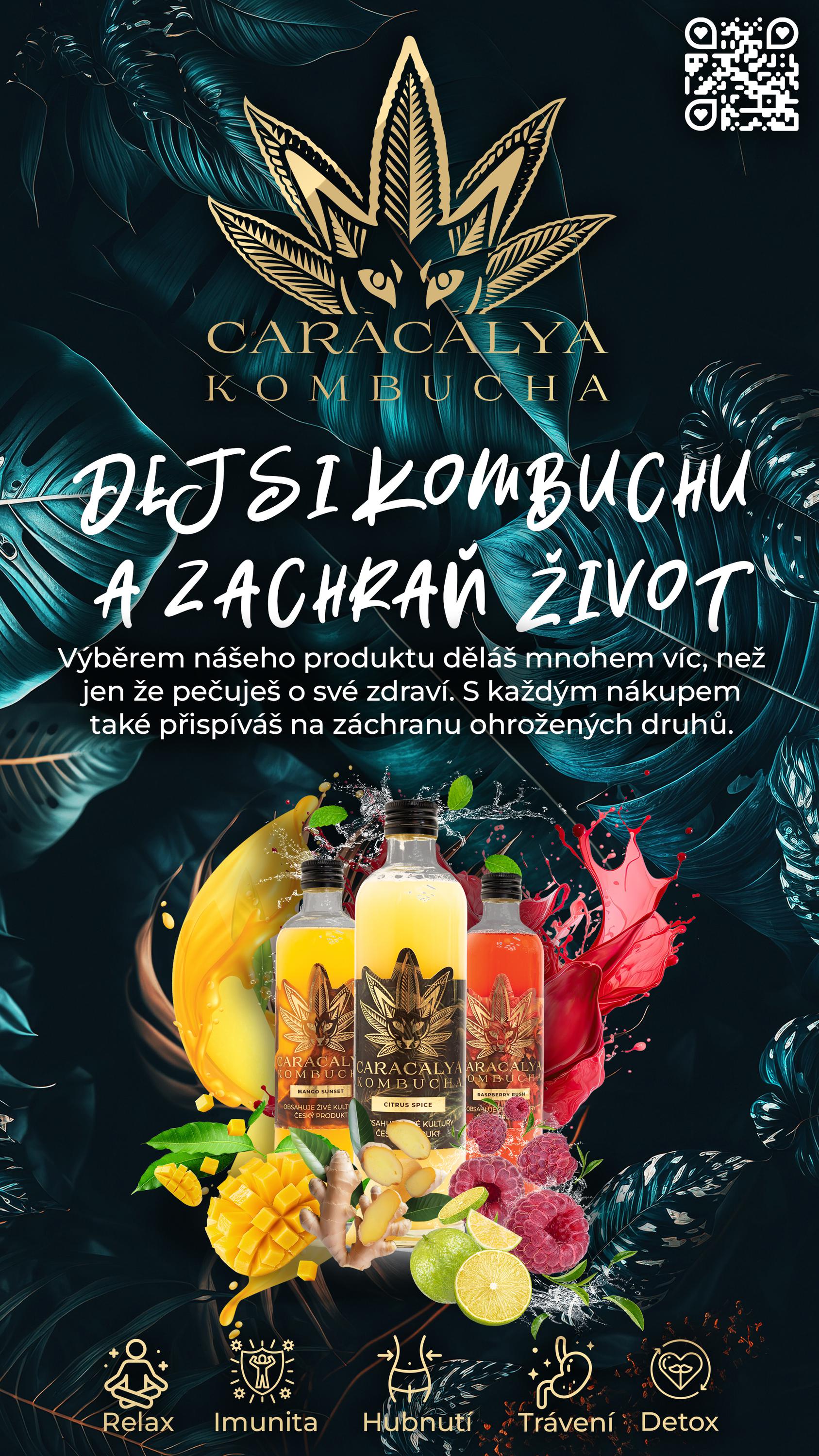 CARACALYA foto 3