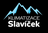 logo Tomáš Slavíček
