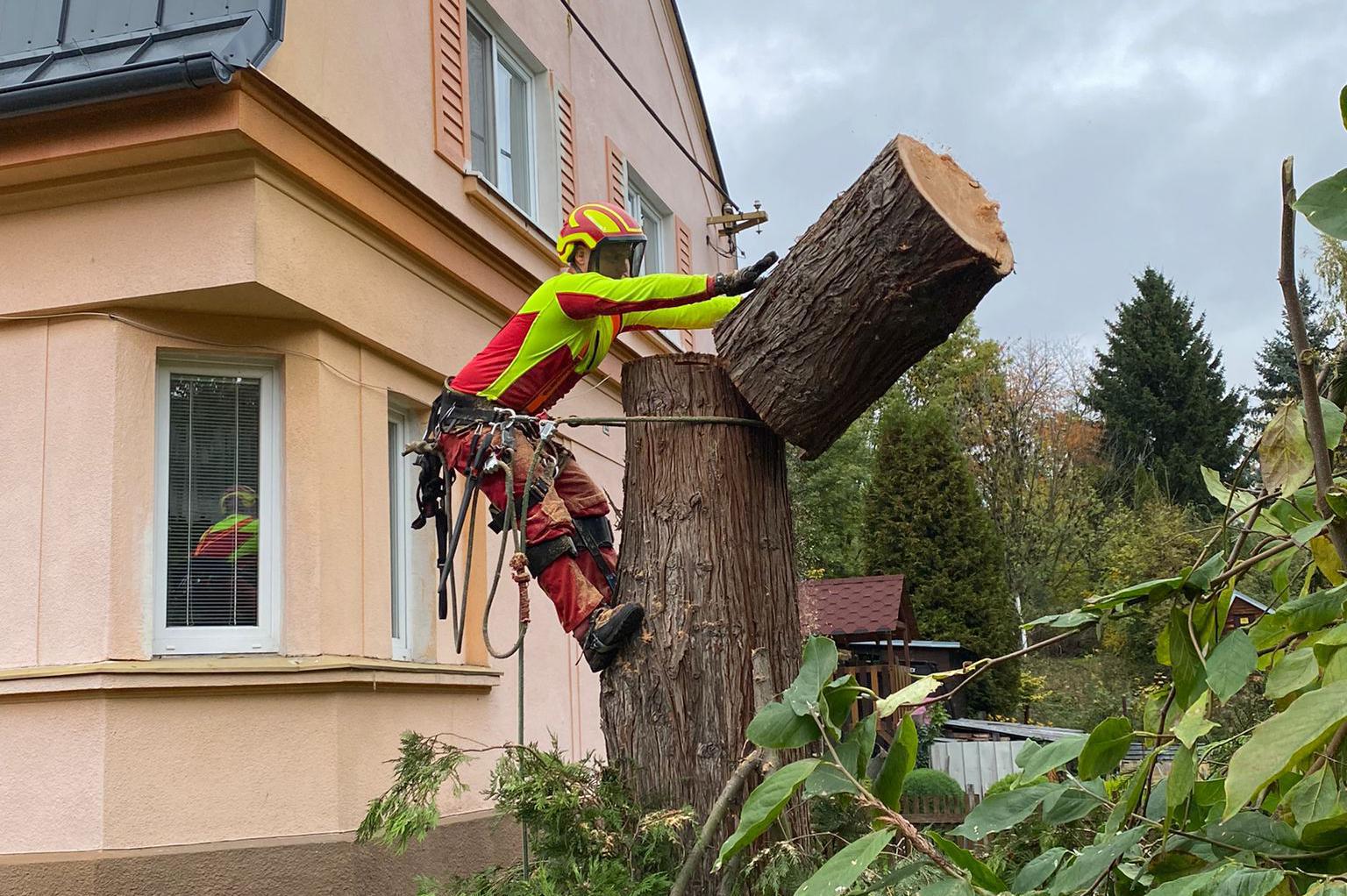 Kácení a ořez rizikových stromů - Ing. Pavel Kuba