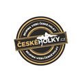 logo České holky