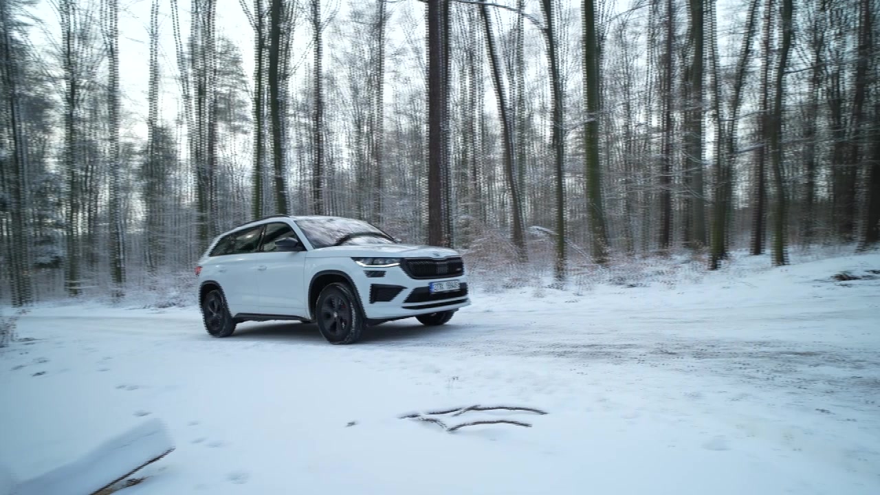 TvojeGaráž.cz foto 2 (náhled videa)