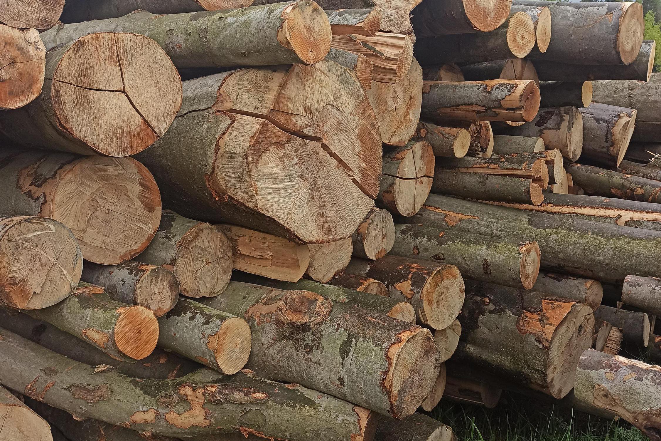 Dřevoprodej Horní Bečva