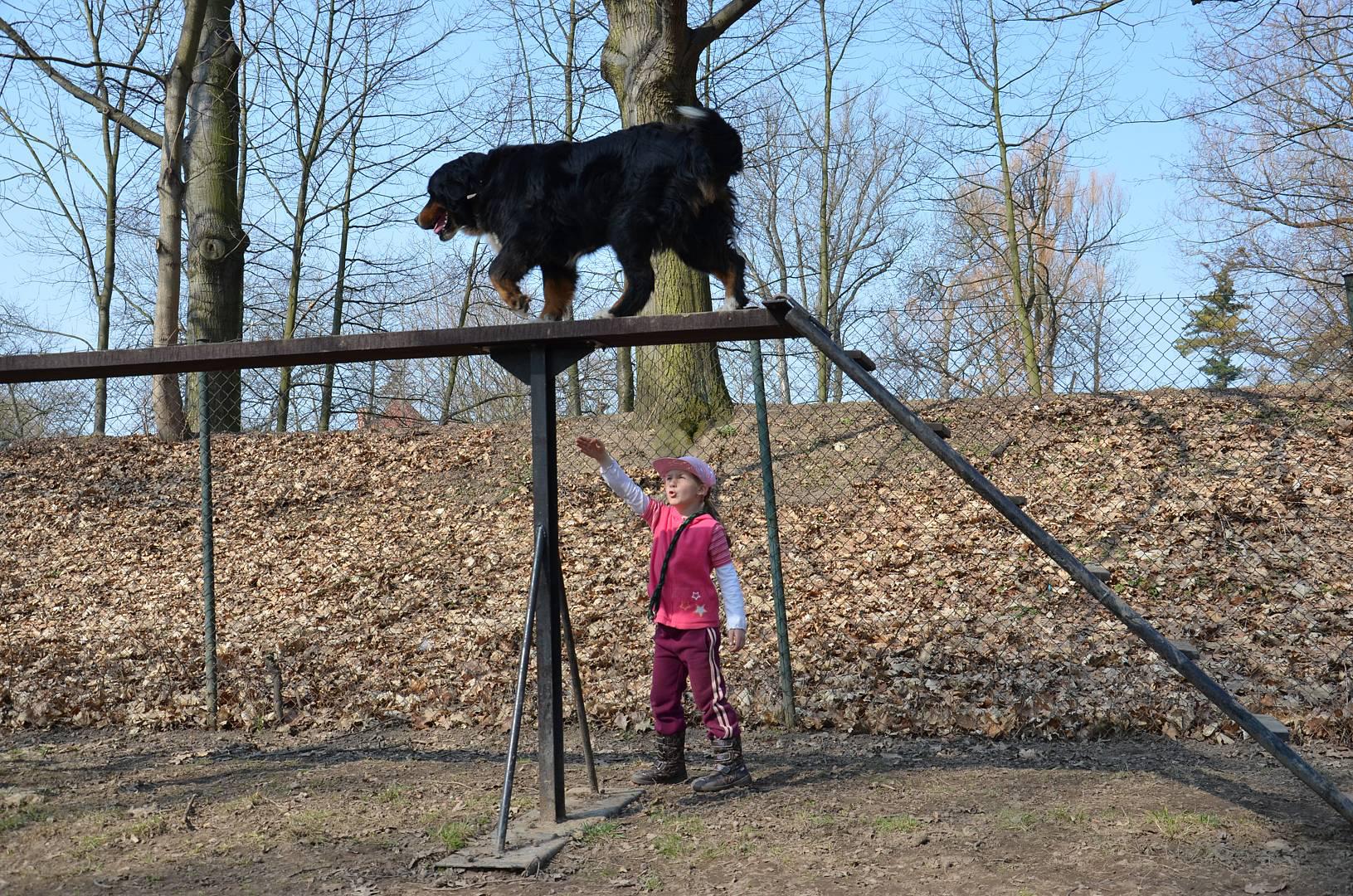 Kynologický klub Hradec Králové