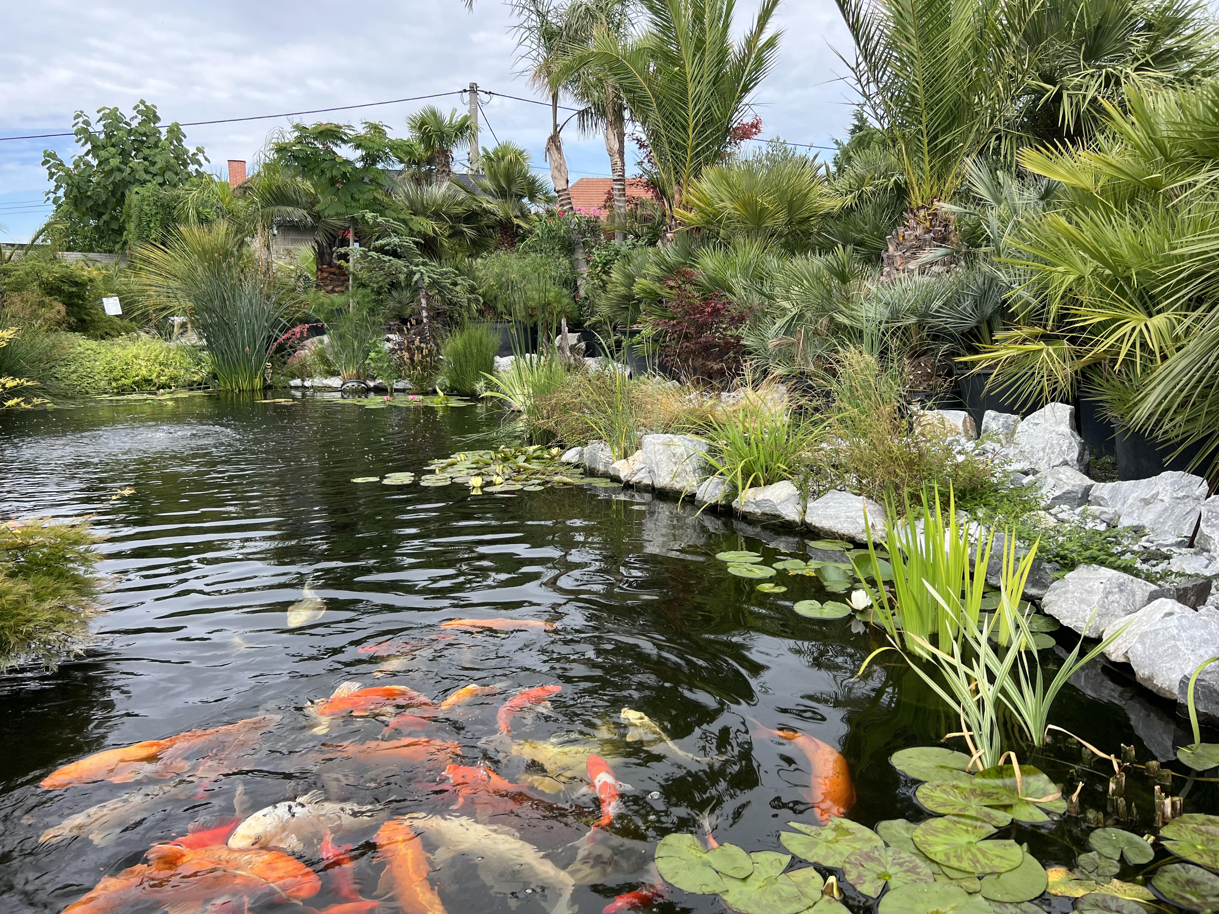 exoticka-zahrada.cz foto 2