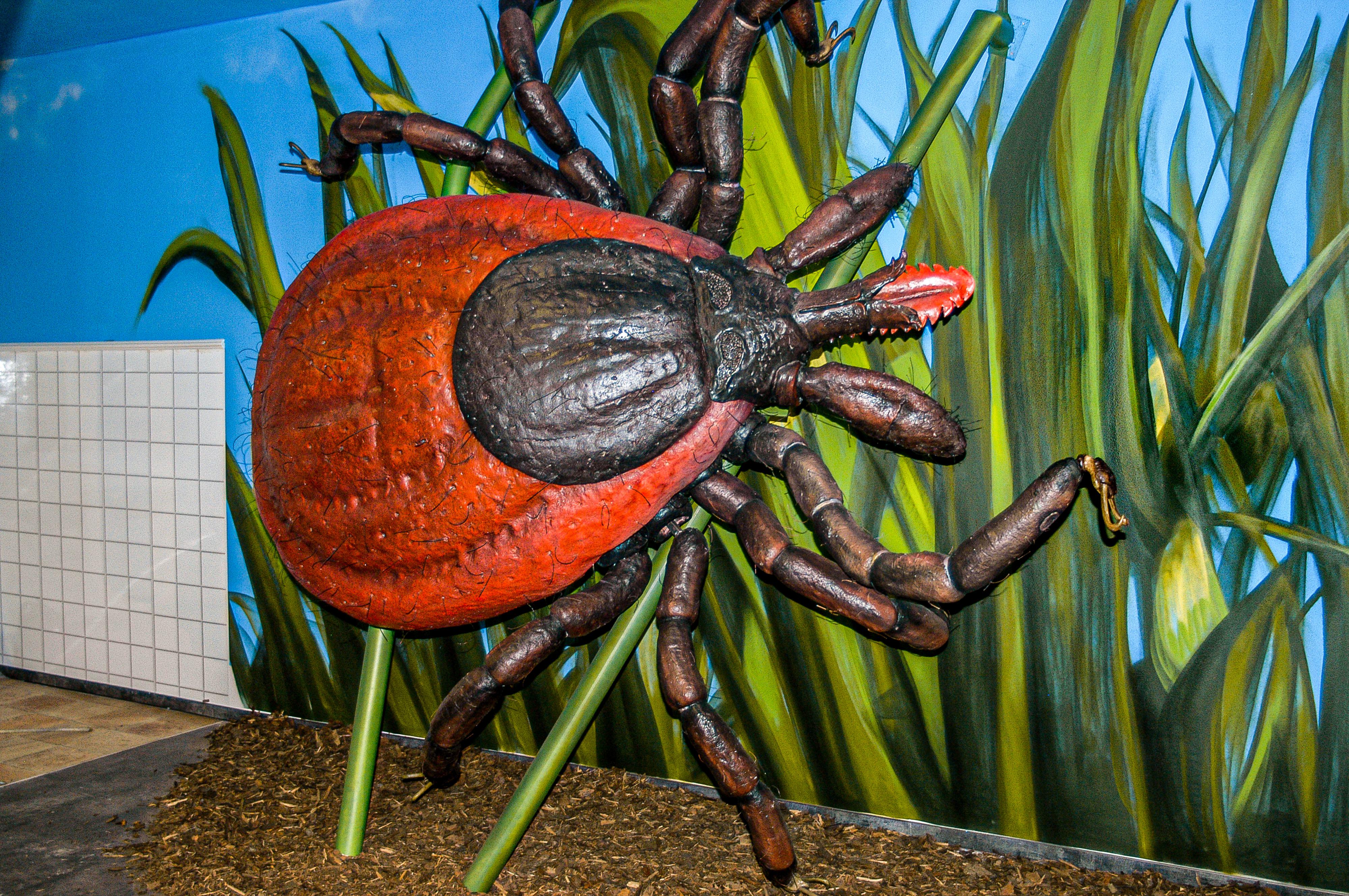 Expozice Mikrokosmos foto 5