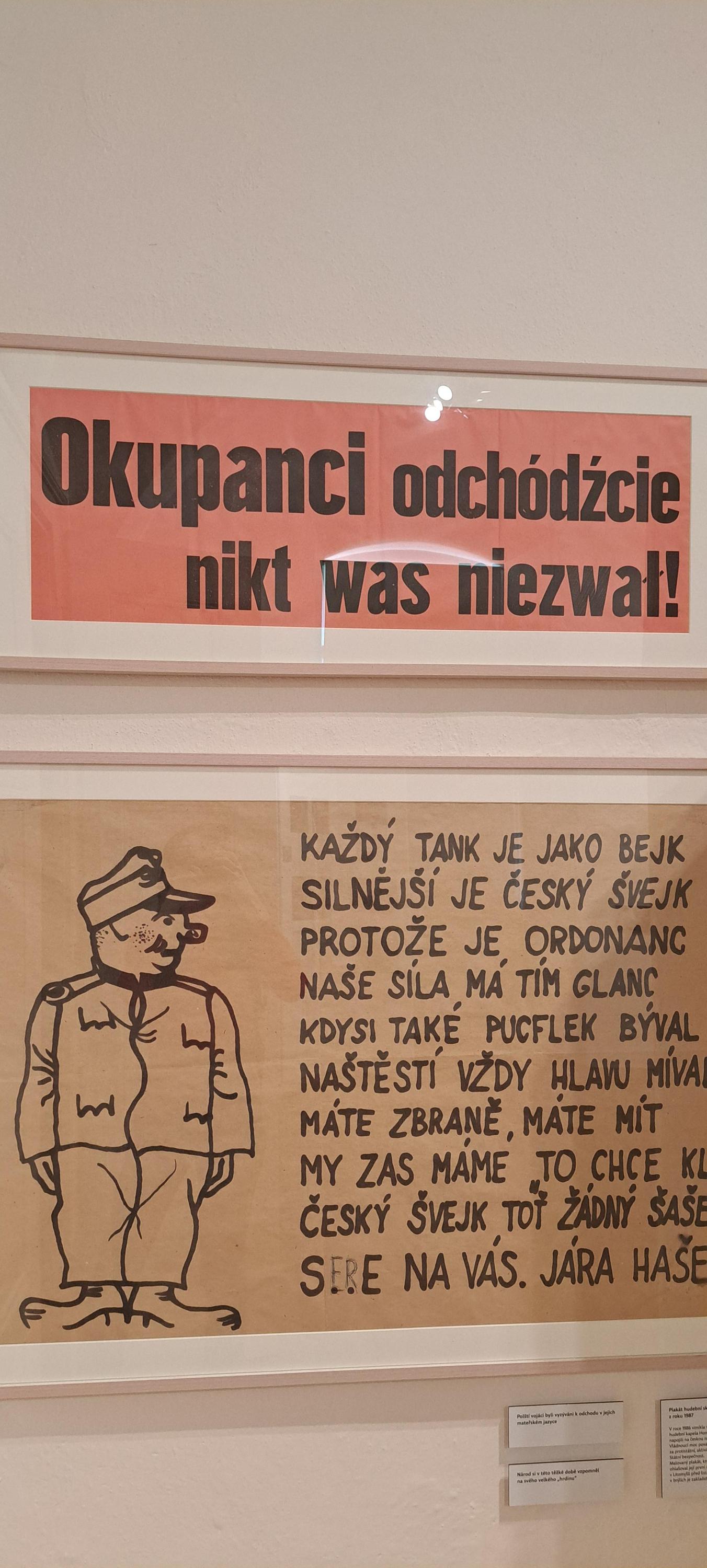 Regionální muzeum v Litomyšli foto 6