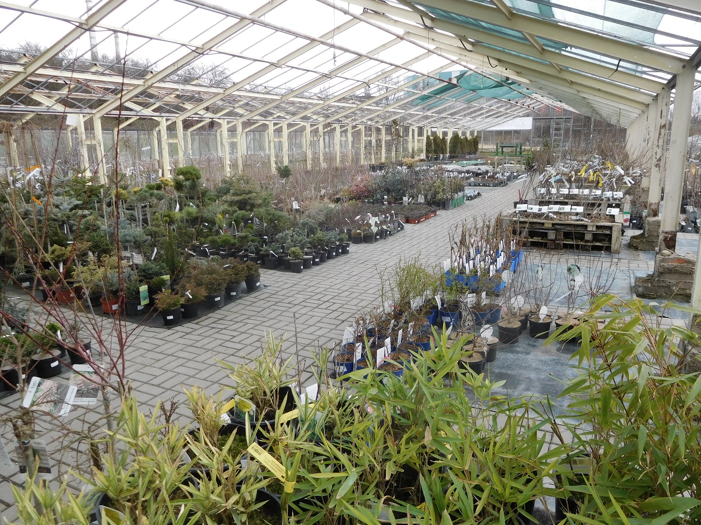 Zahradnictví Juliánov foto 3