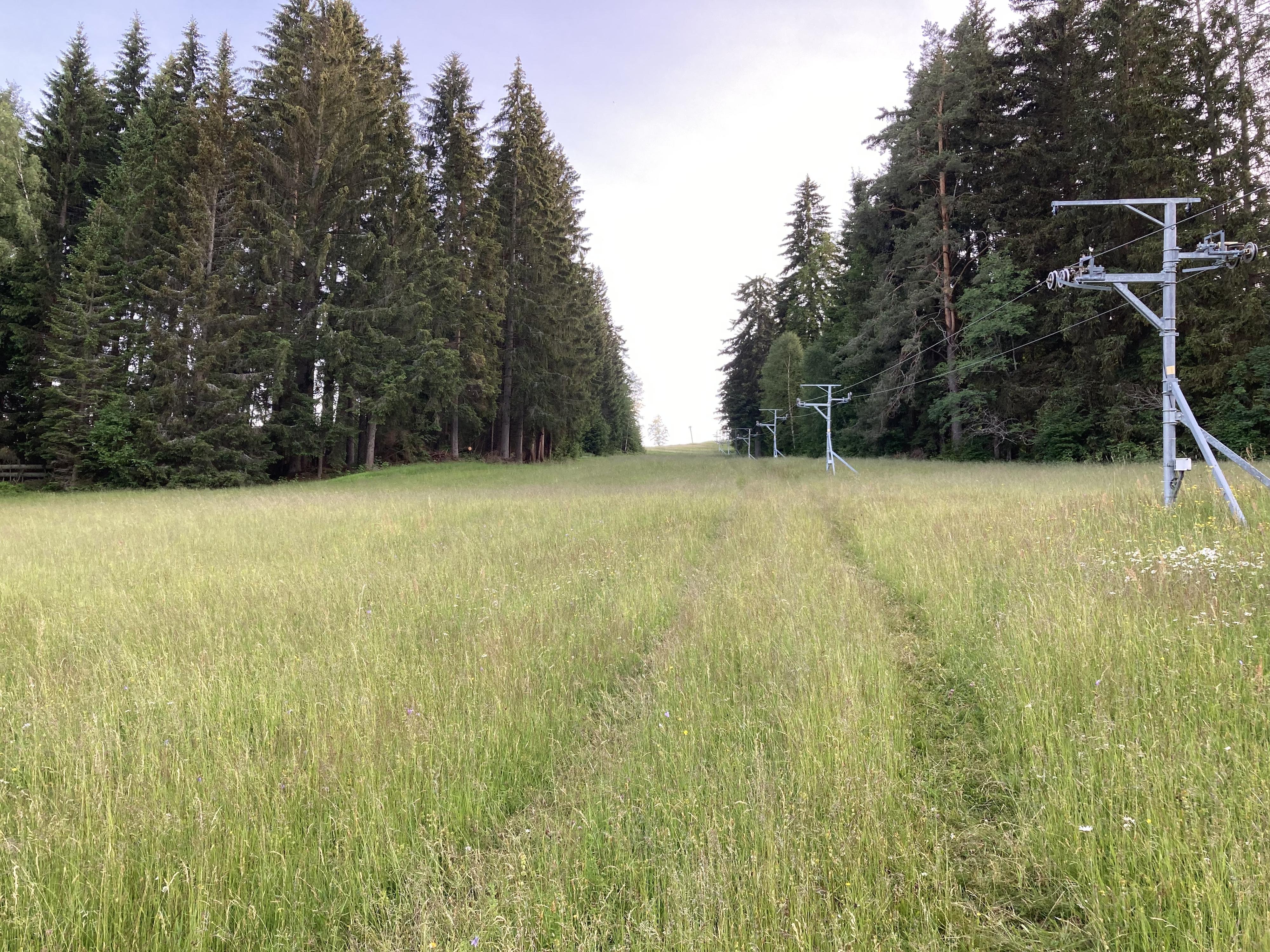 Skiareál Strážný