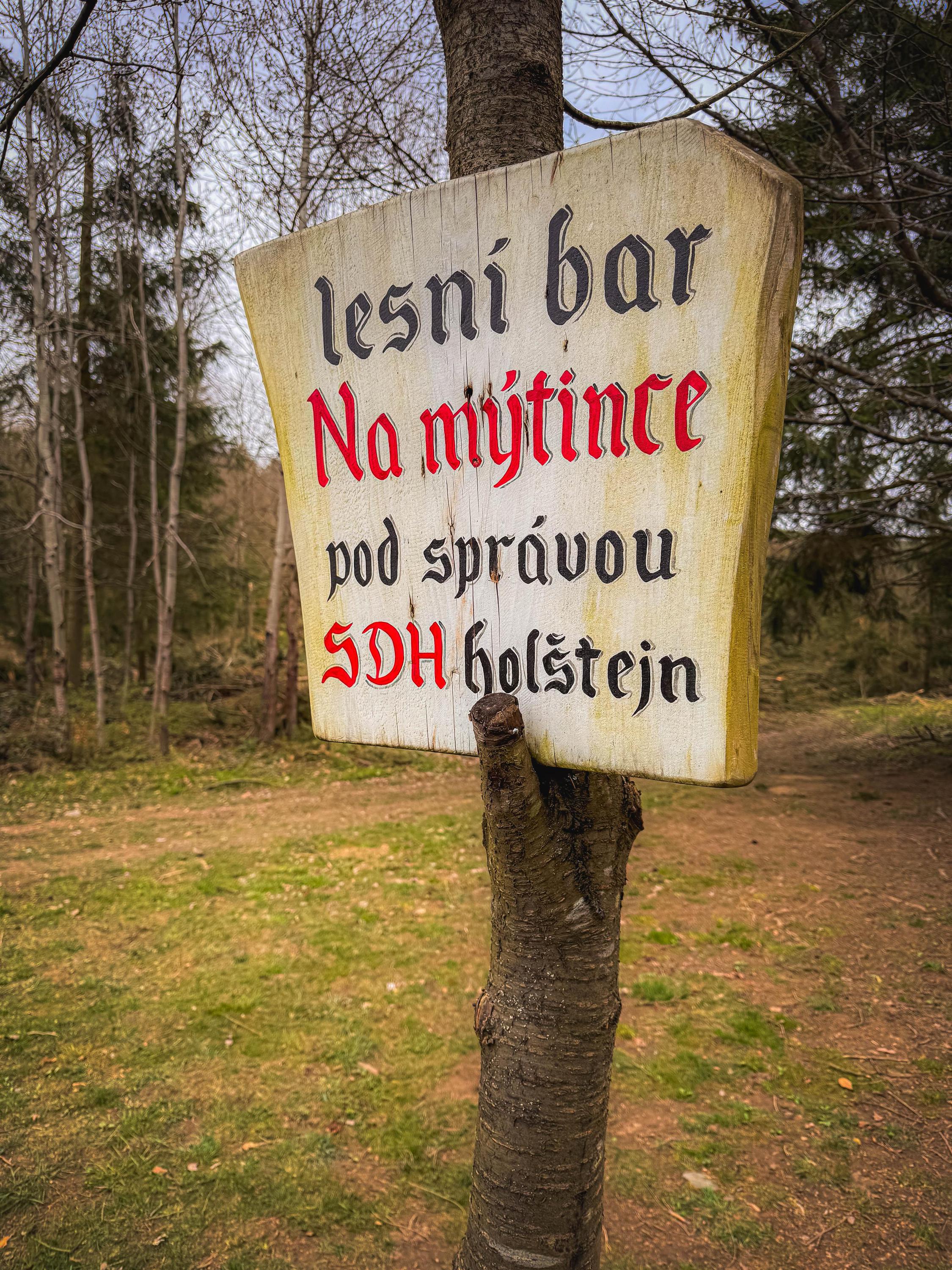 Lesní bar u Holštejna foto 6