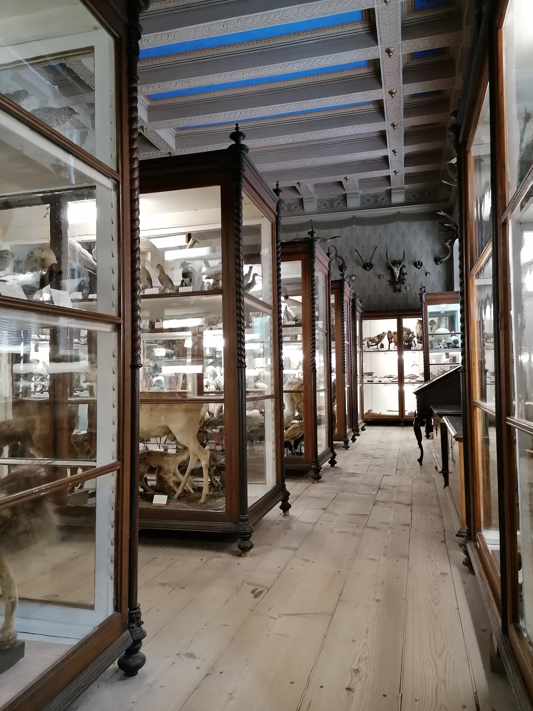 Městské muzeum a knihovna Čáslav foto 5