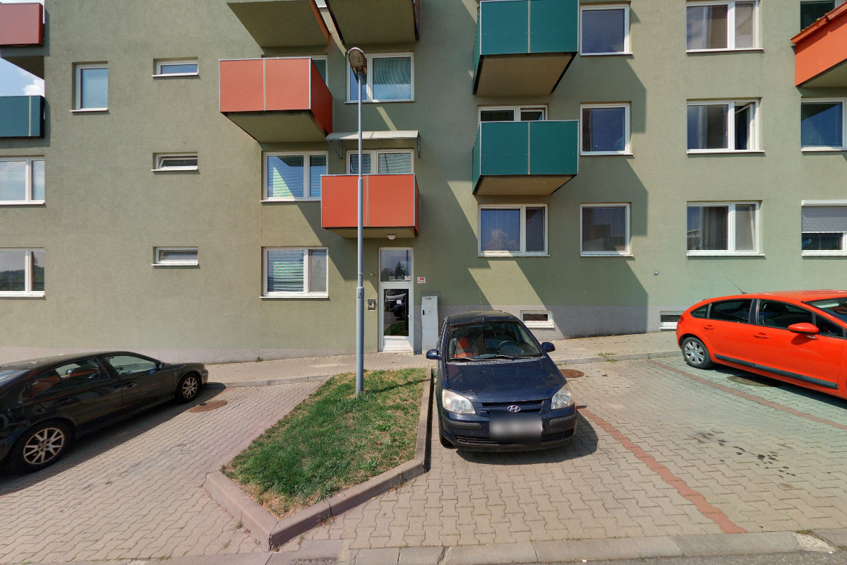 Spojení se zvířaty - Nicoleta Talabová