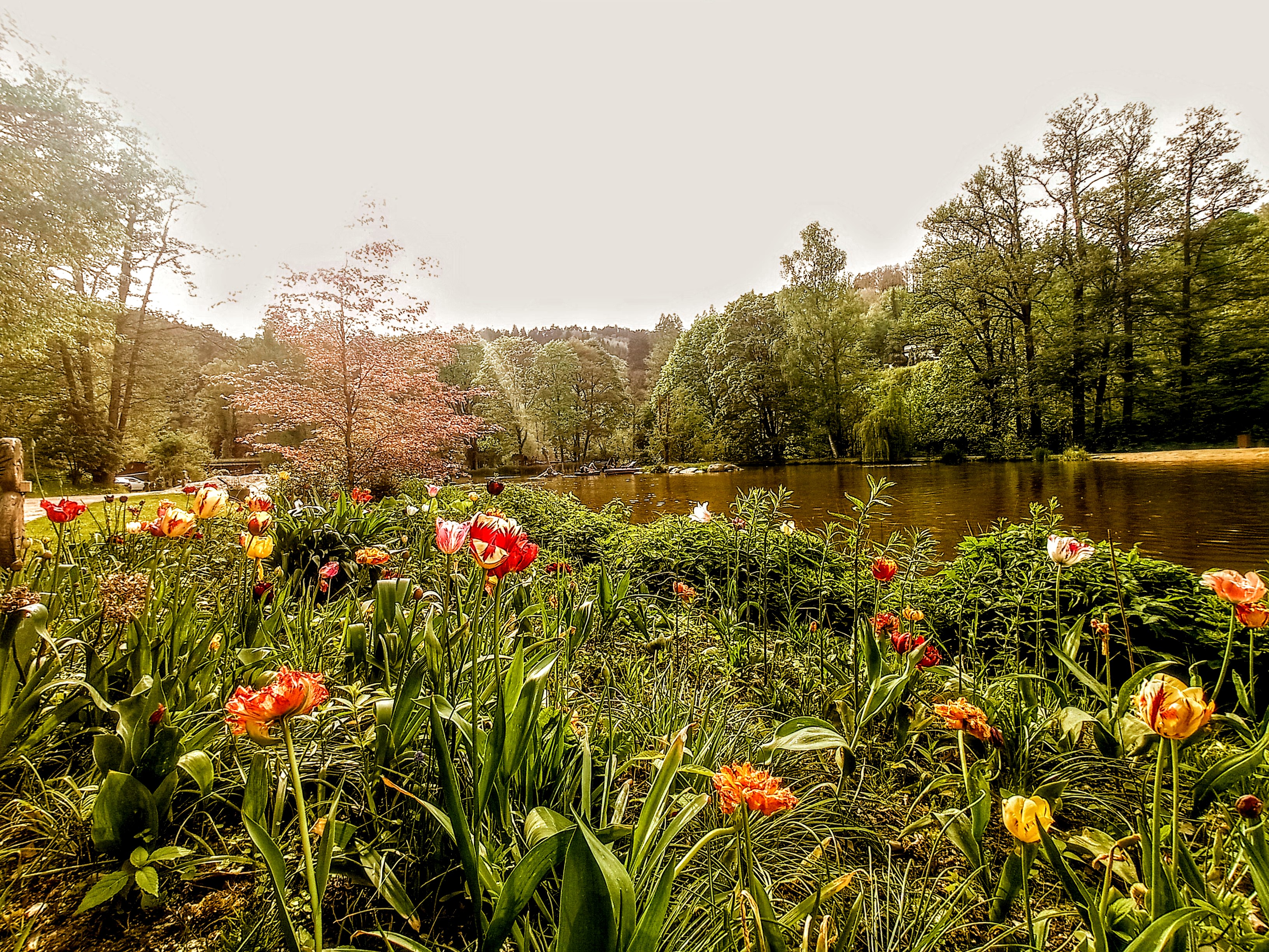 Bečovská botanická zahrada foto 6