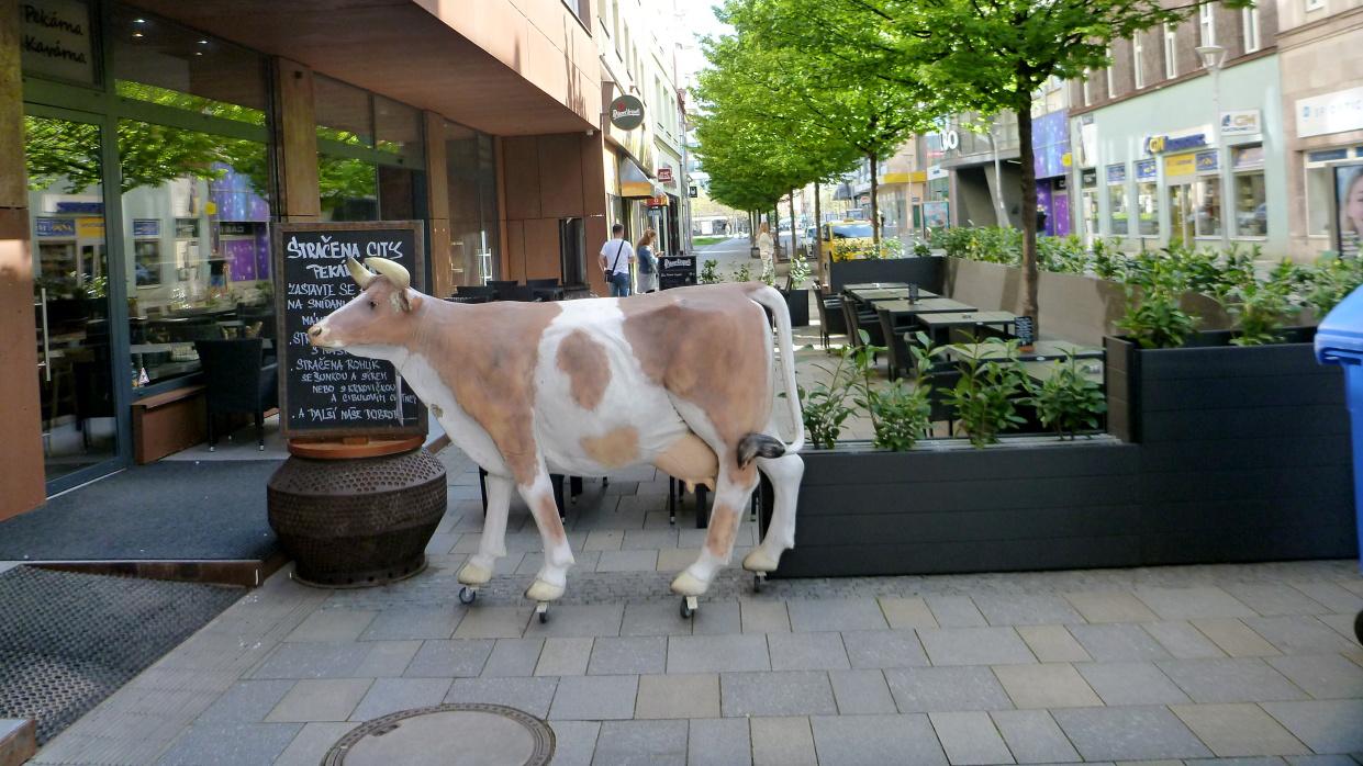 Restaurant Stračena City foto 2