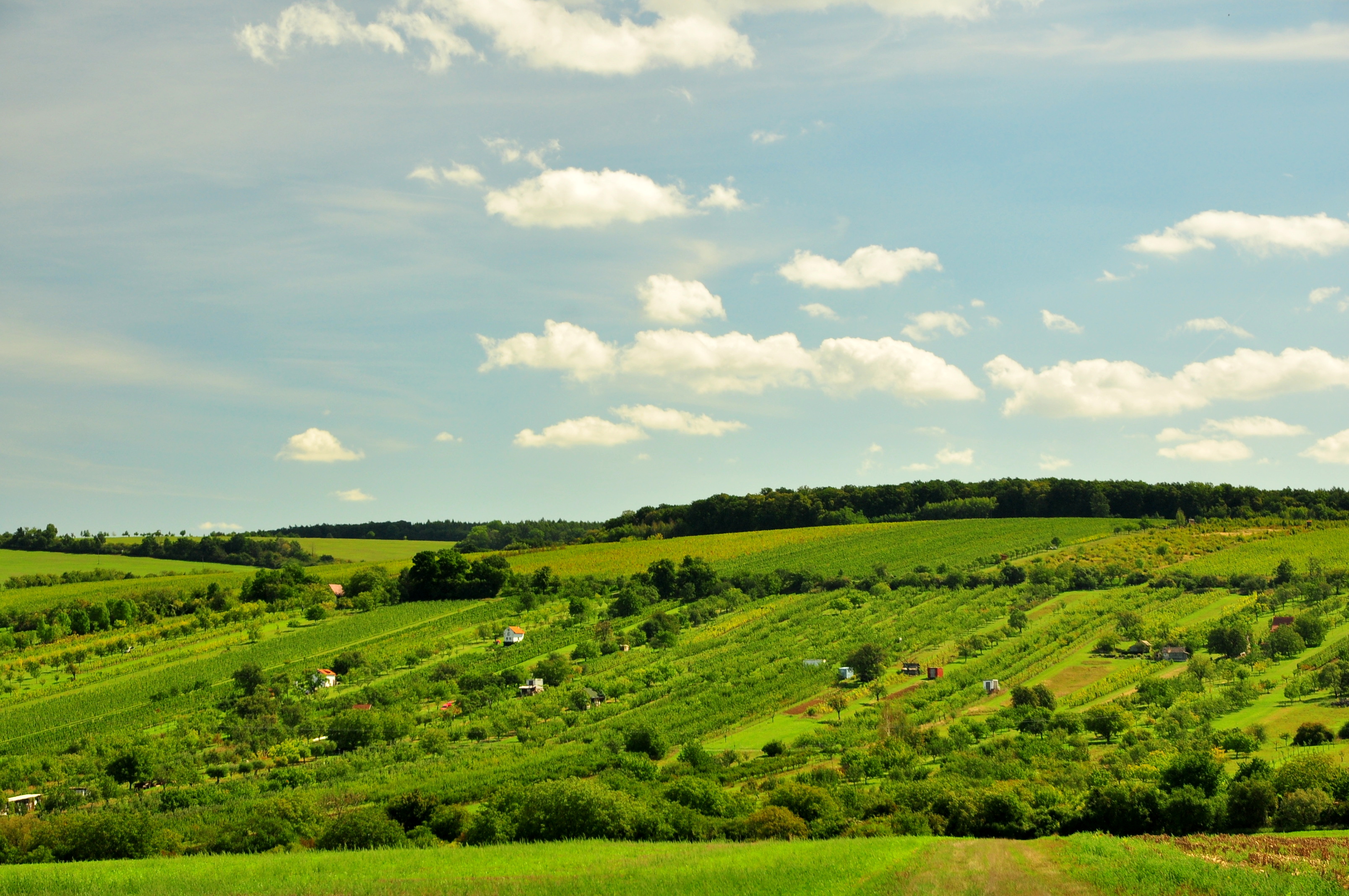 Hotařská búda - Vinohradnické muzeum foto 5