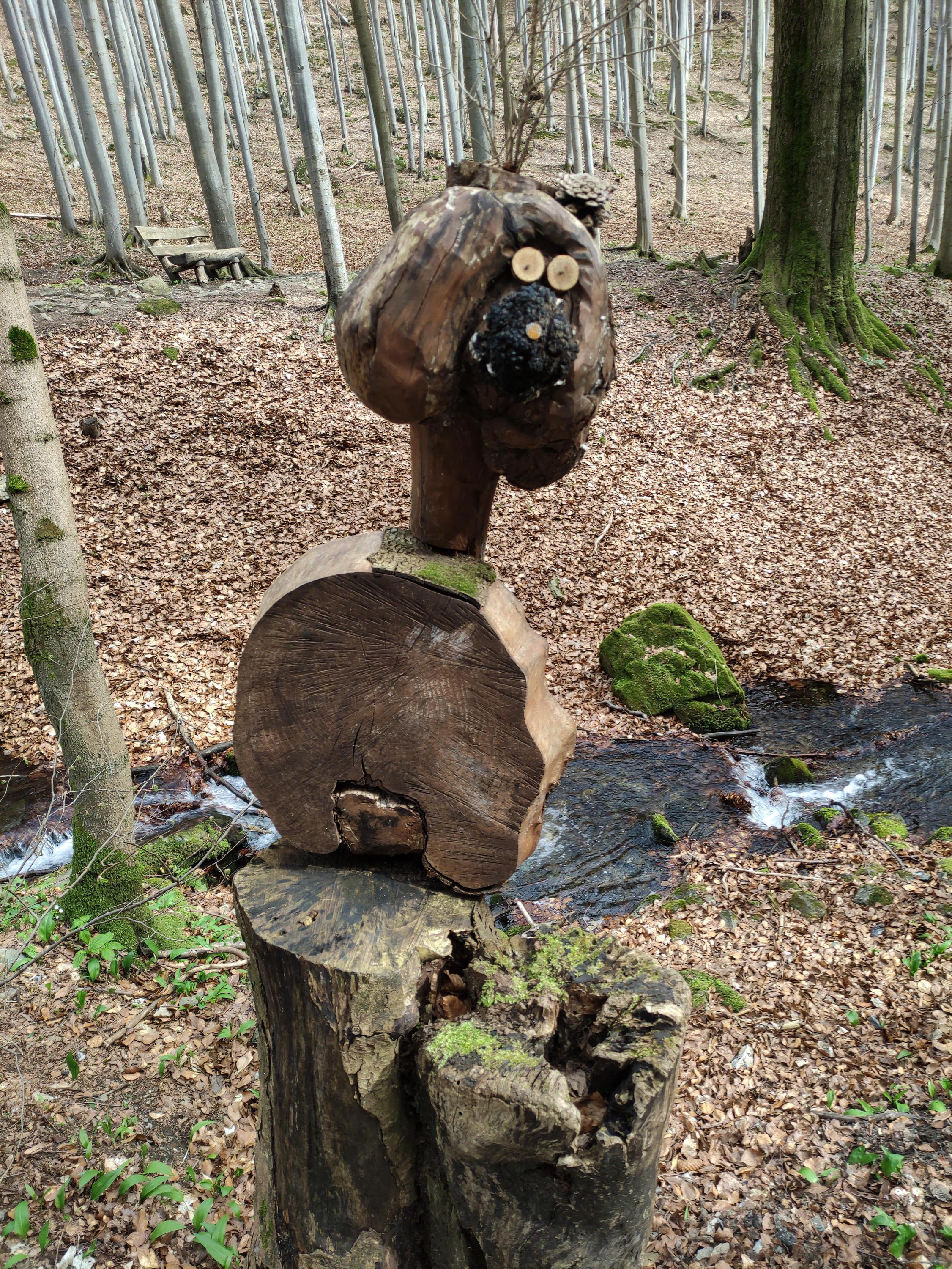 Lesní bar Lipová-lázně foto 6