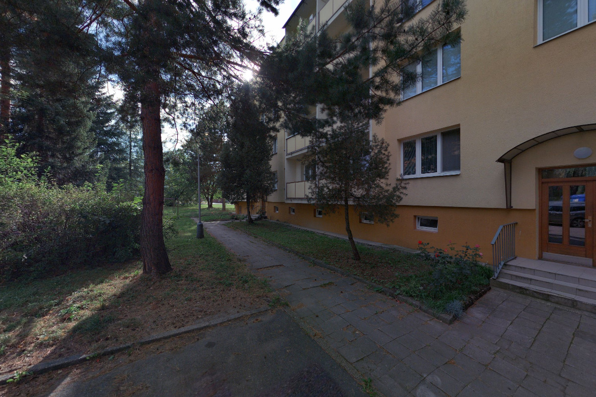 GREENS foto 1