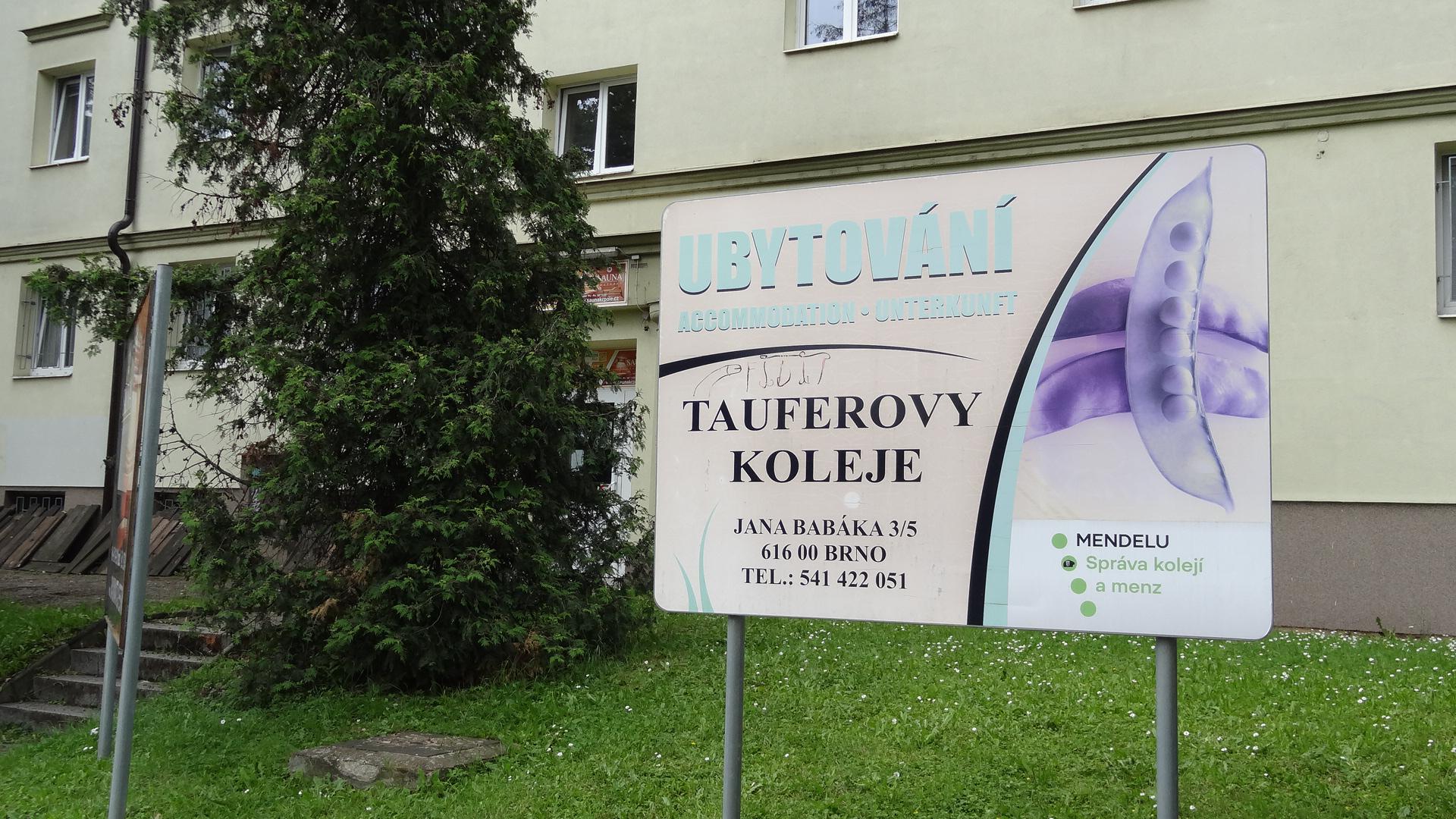 Mendelova univerzita v Brně - Koleje Josefa Taufera foto 4