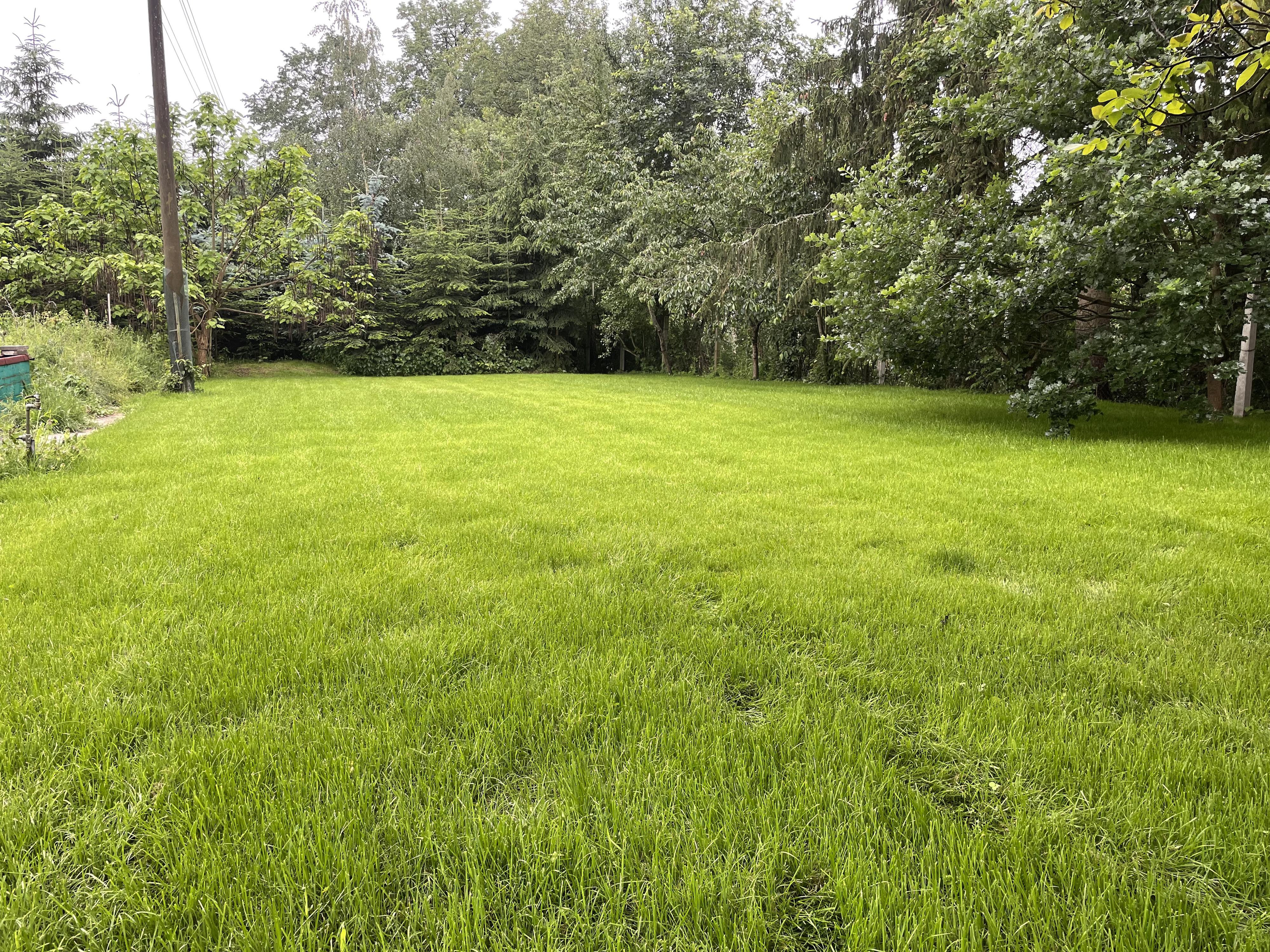 Zahradnické práce BRANOS foto 3