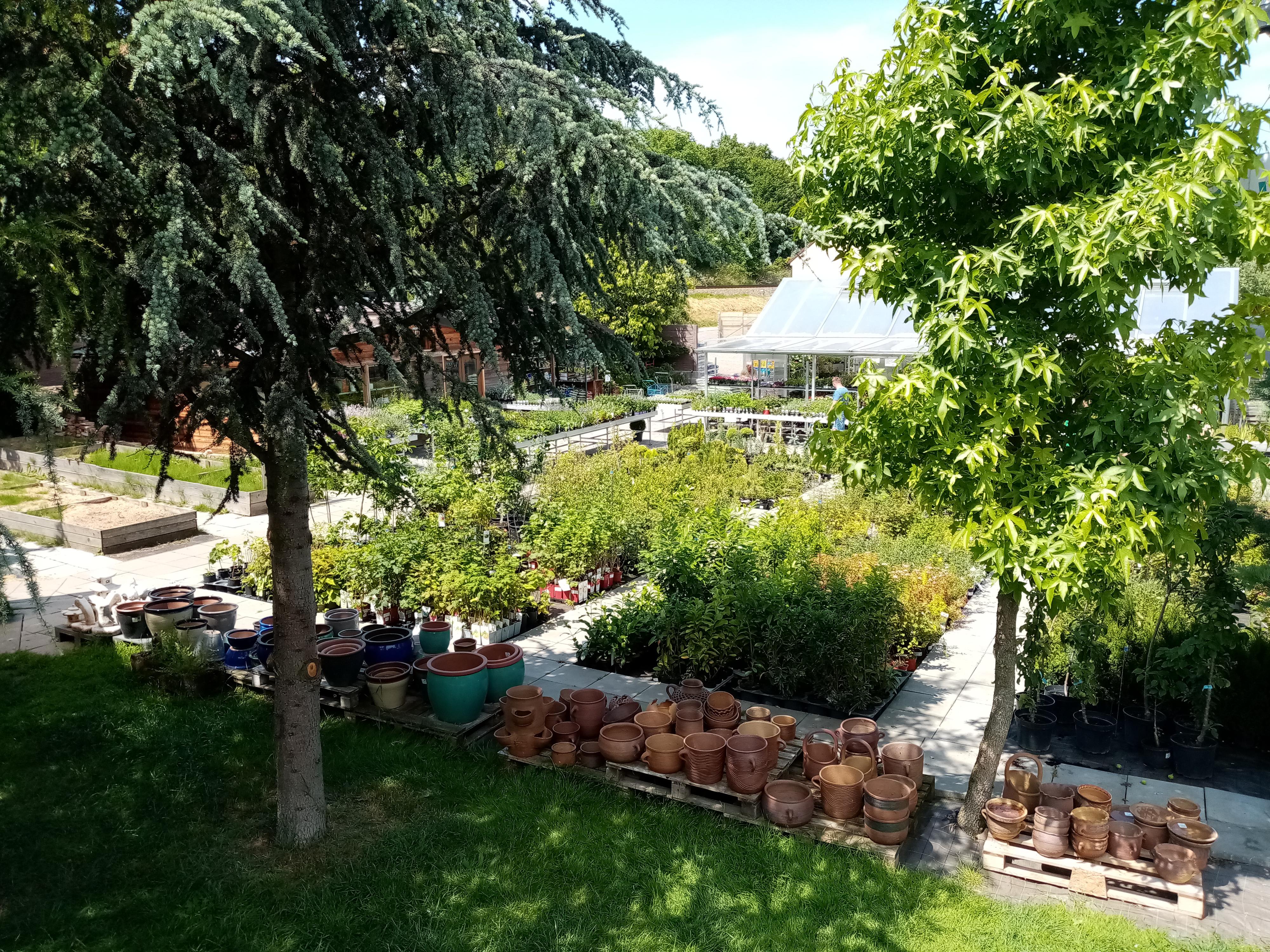 Zahradnictví Chrudim s.r.o. foto 5