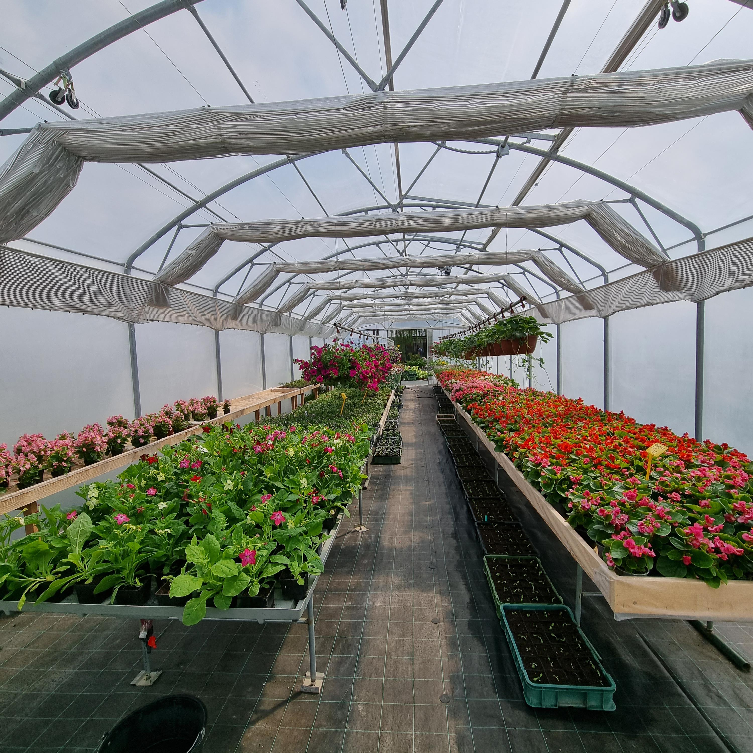 Zahradnictví Zmeškalovi foto 2