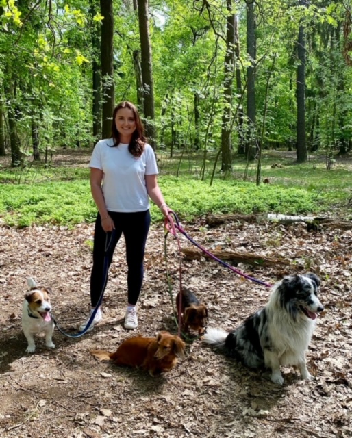 Psí školka a hotel U Piškota foto 2