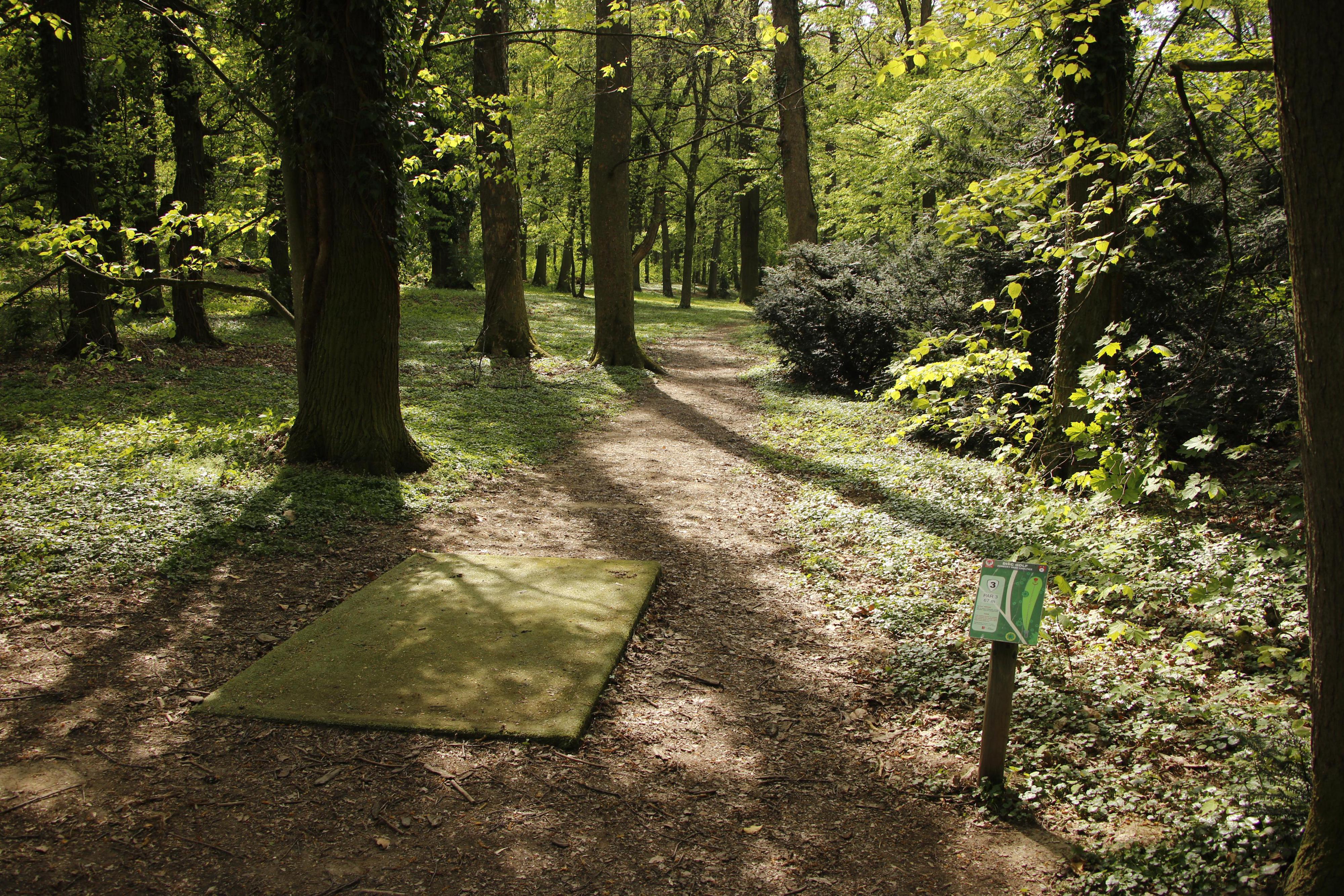 Discgolf Choltice foto 2